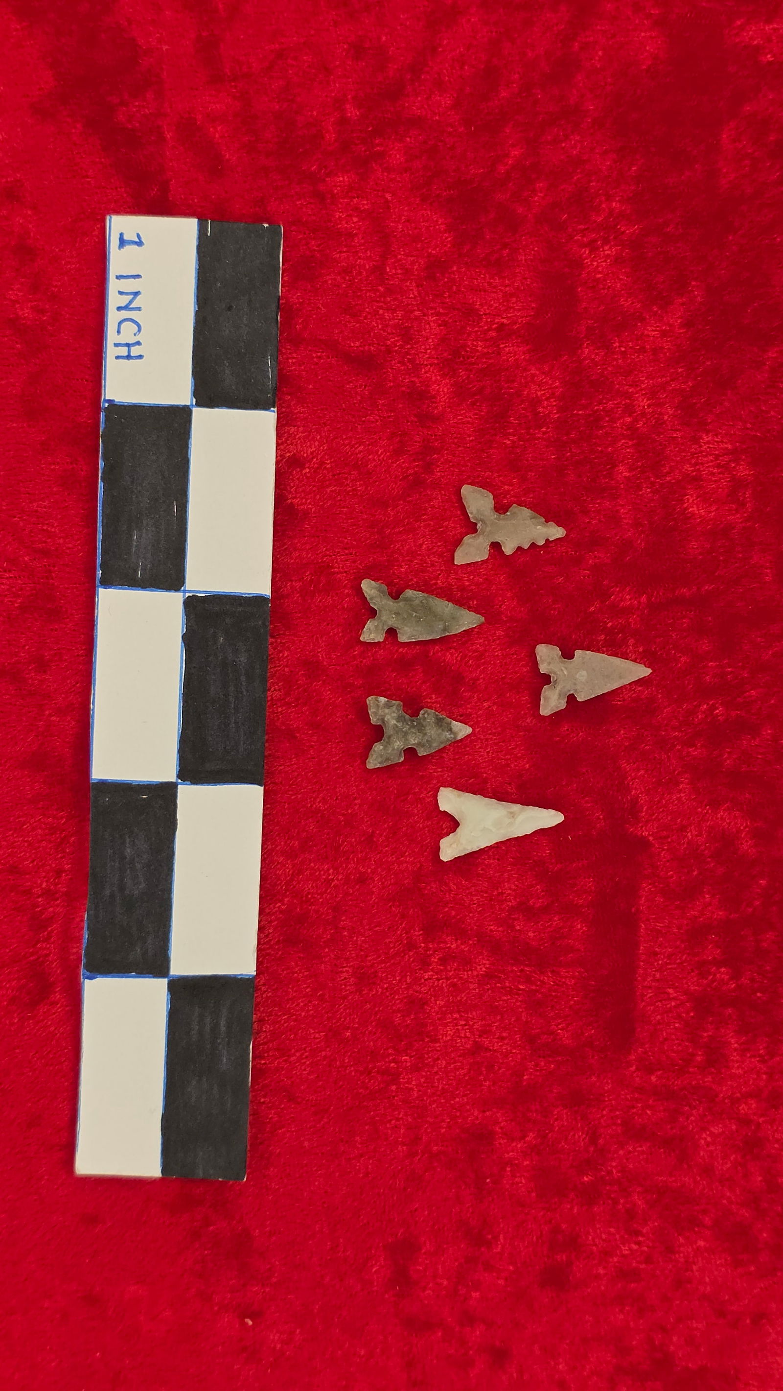 5 very nice small Bird Points #1 (1 of 1)