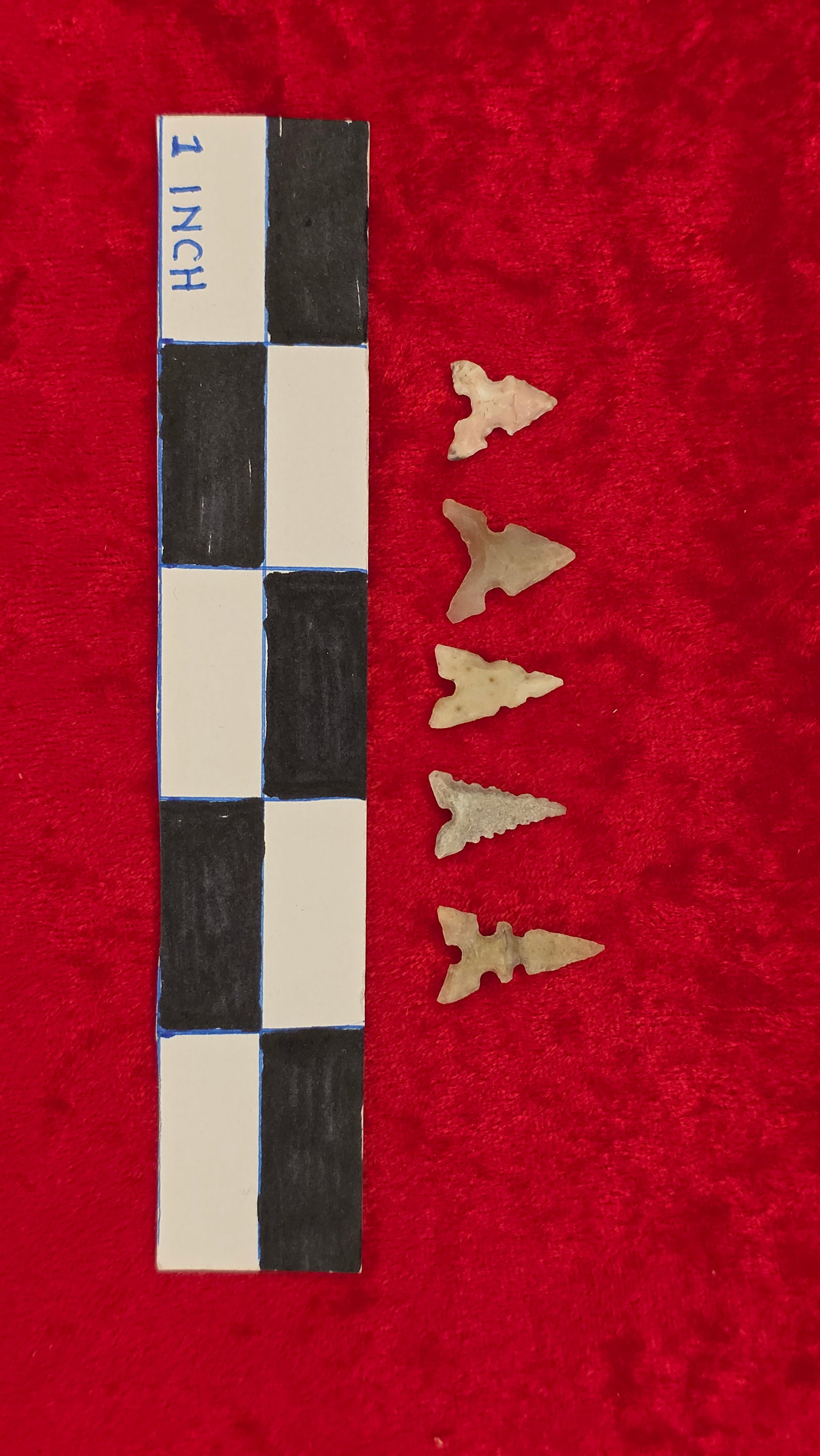 5 very nice small Bird Points #4 (1 of 1)