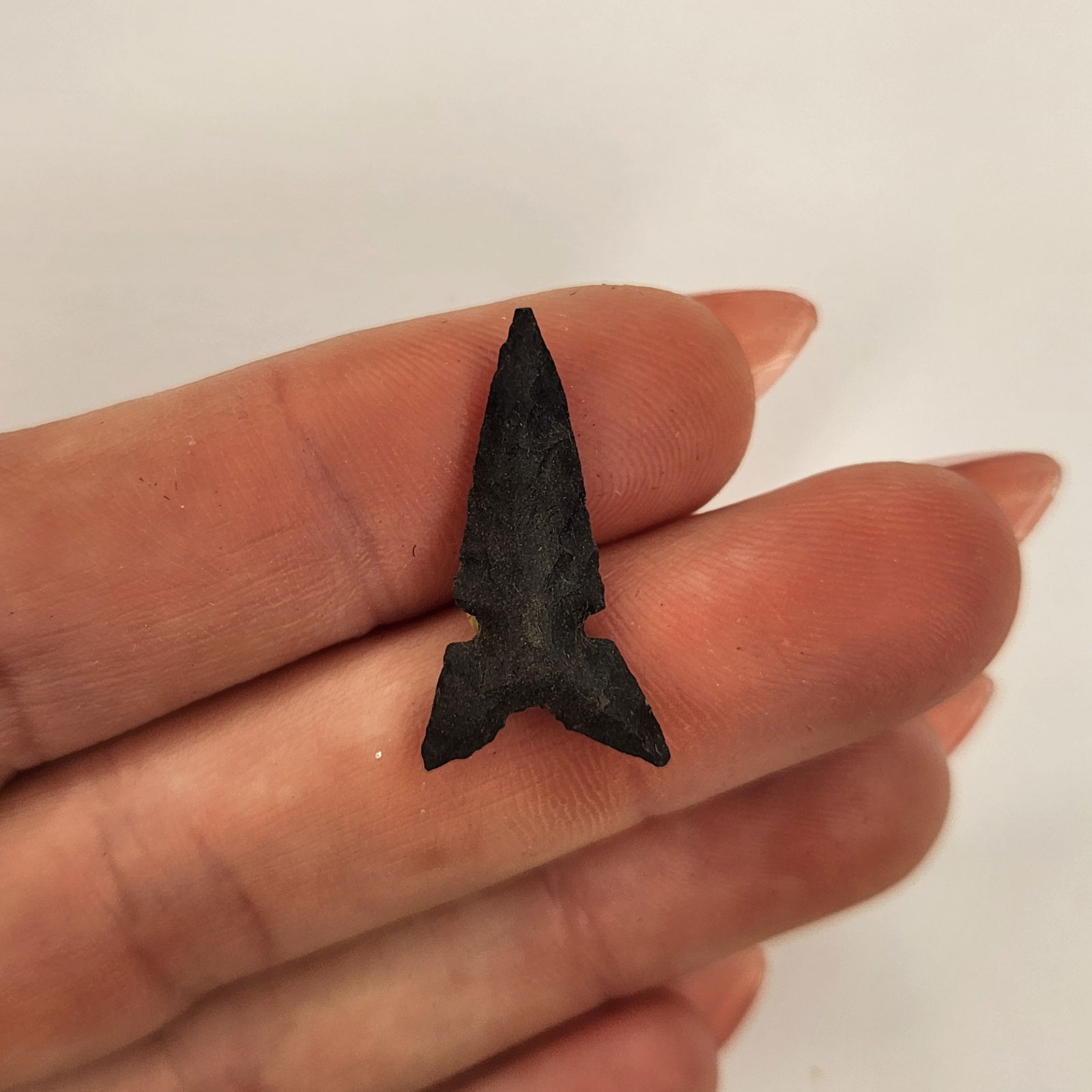 Fine Bird point (1 of 3)