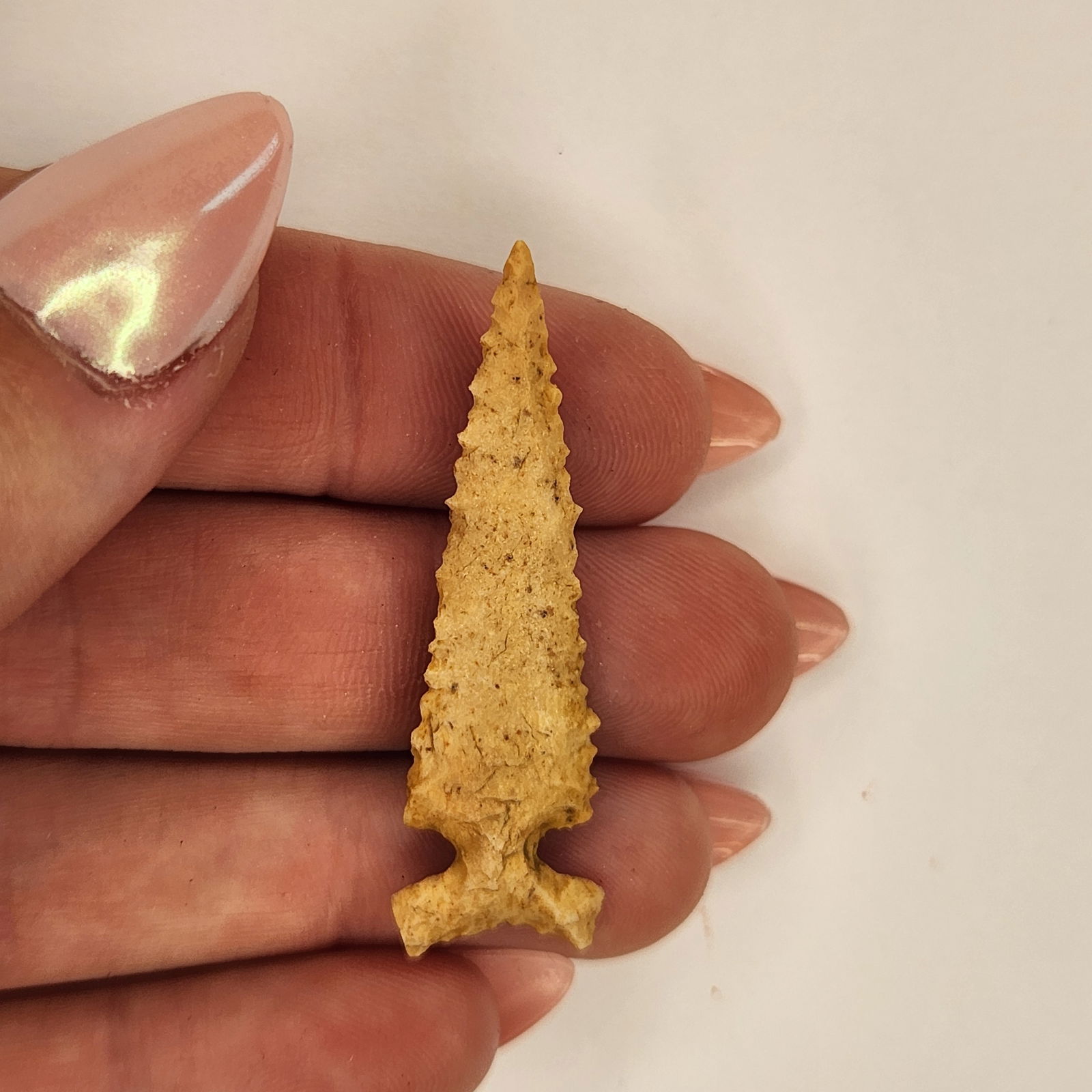 Missouri Scallion point (1 of 3)