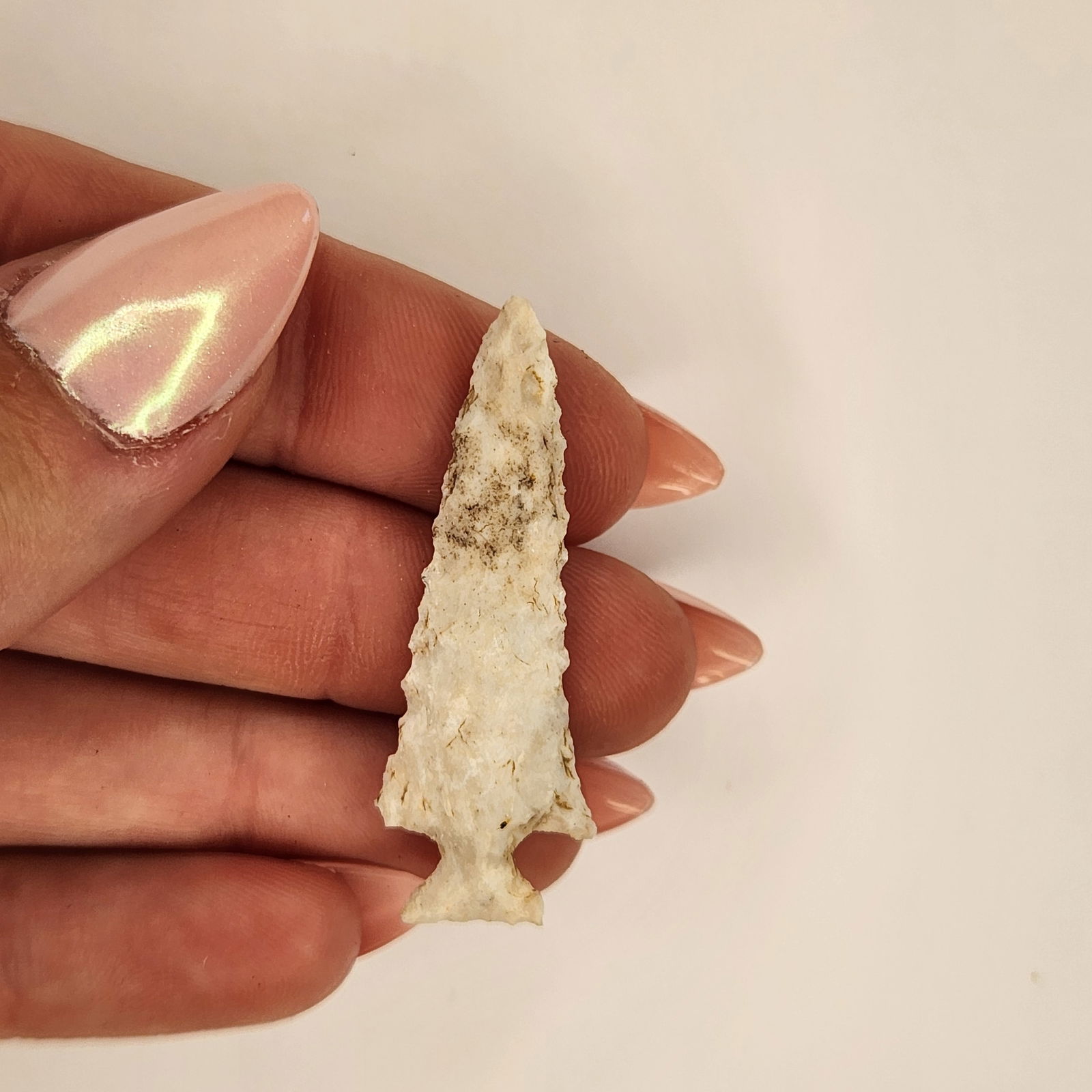 Fine Missouri Scallion (1 of 3)