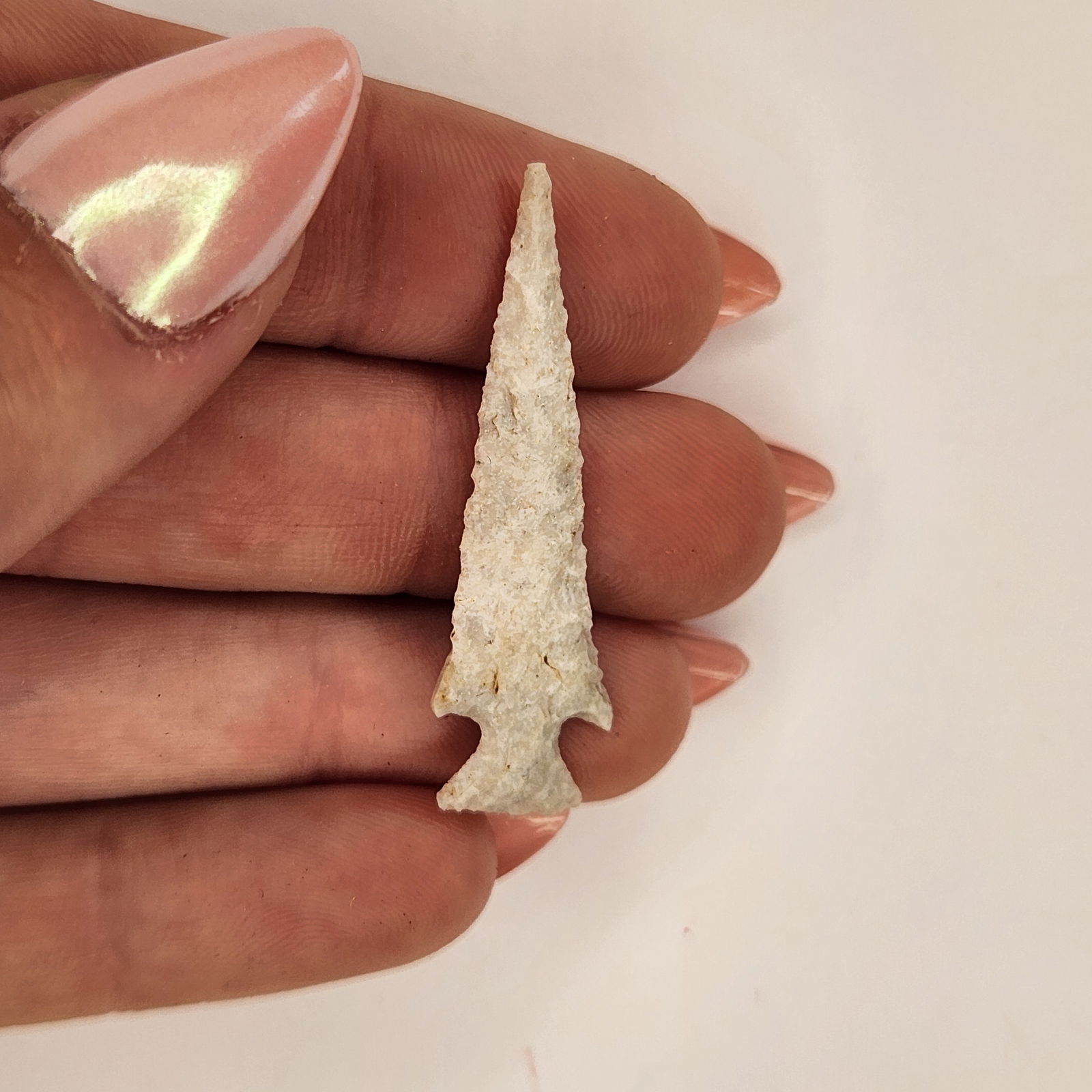 Missouri Birdpoint (1 of 3)