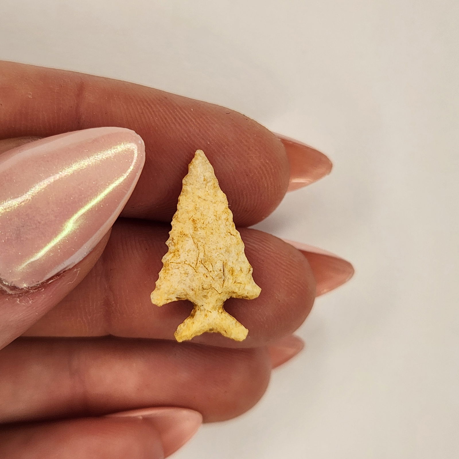 Fine Small Birdpoint (1 of 3)