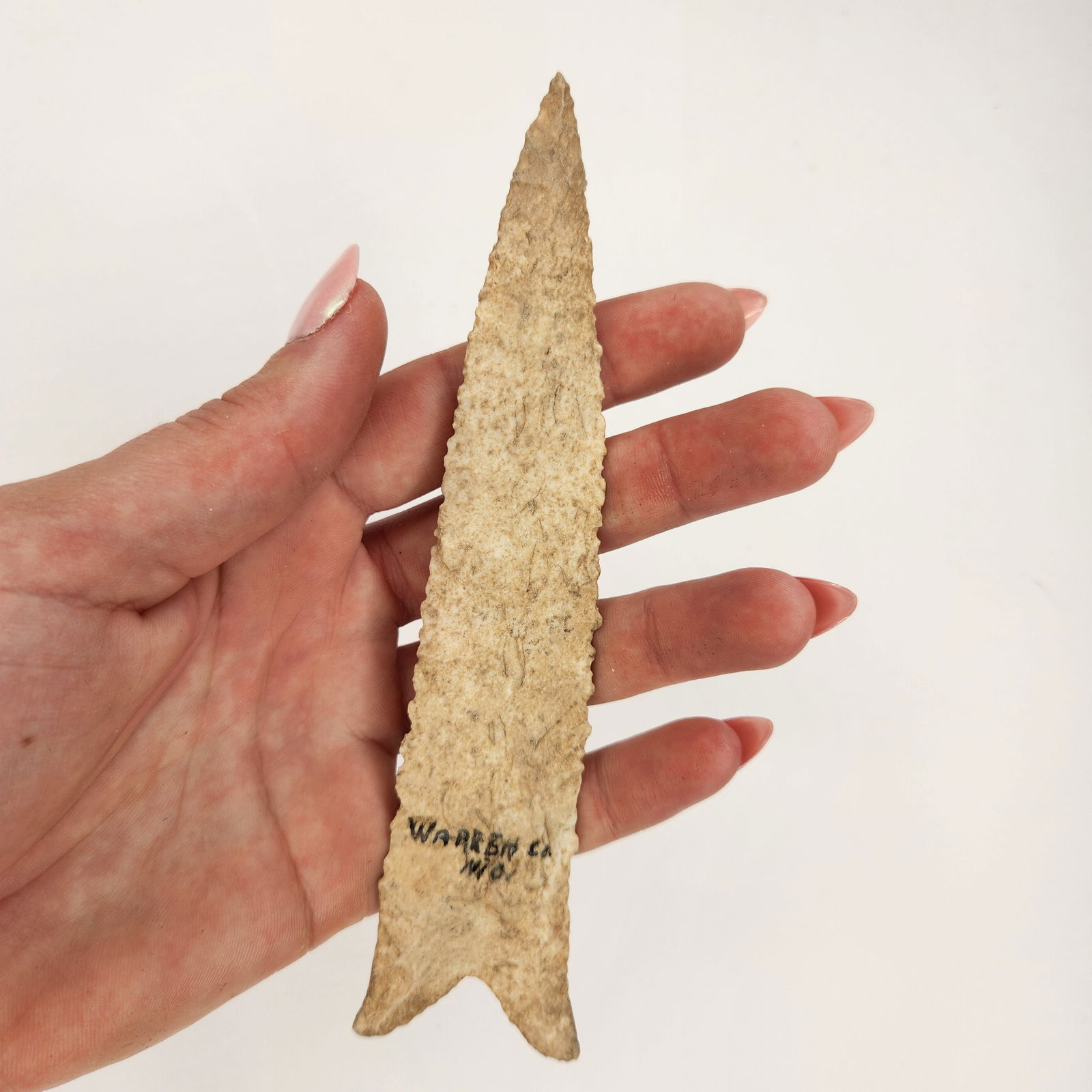 Fox Ear Dalton (1 of 3)