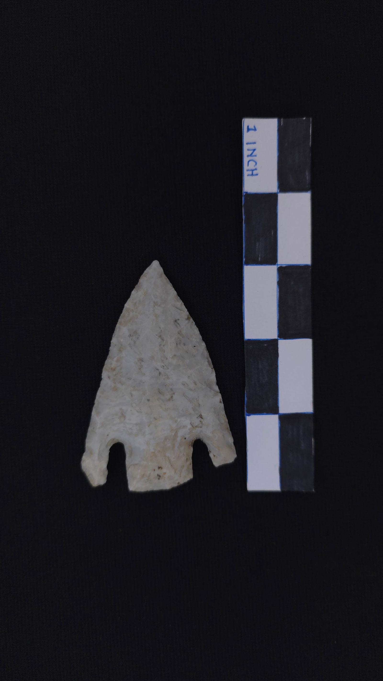 Smith (White/Gray Burlington Chert), 3 1/16" x 2 1/16" - Dwain Rogers COA included (1 of 4)