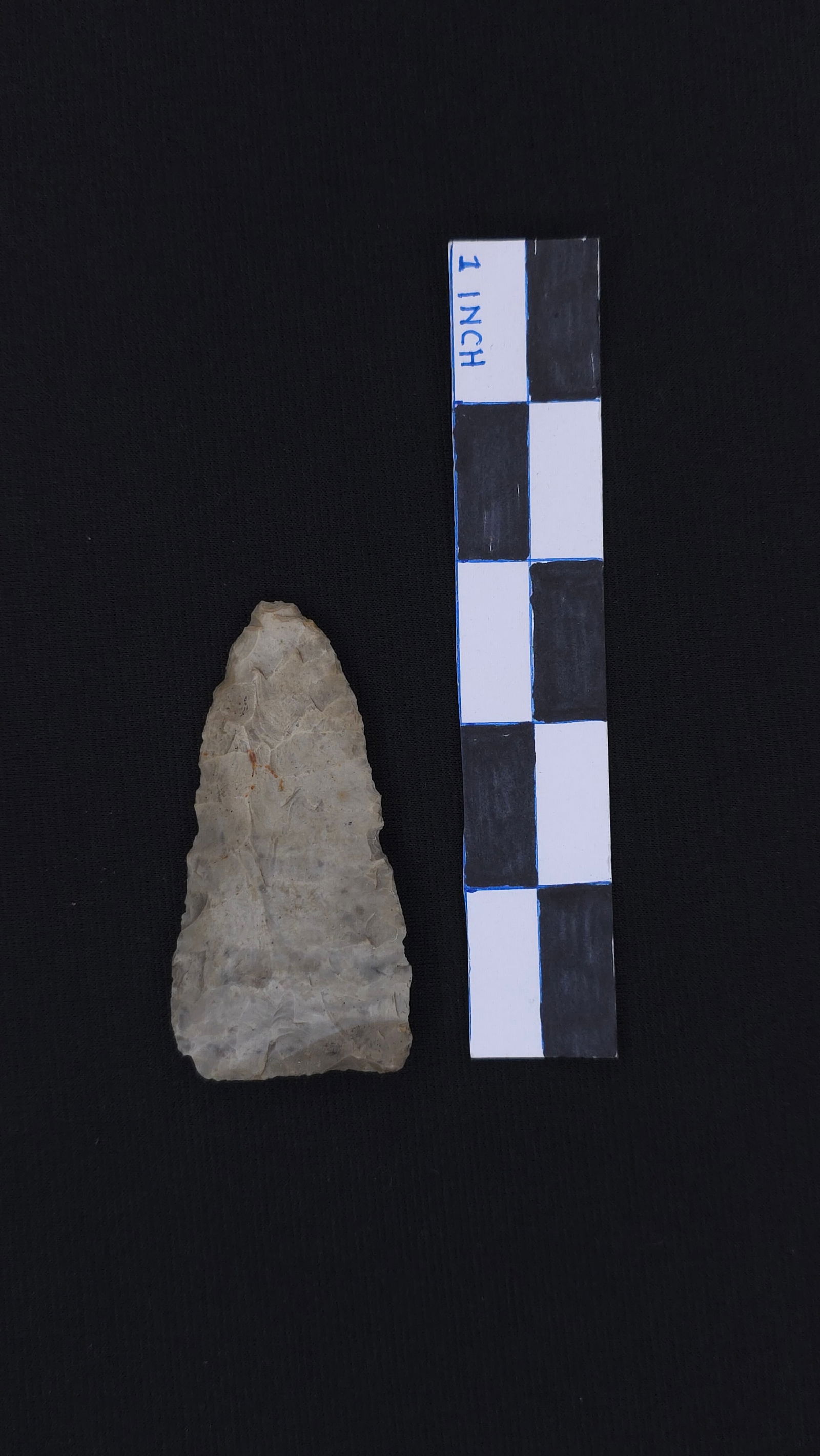 Archaic Knife (Gray Chert - Montgomery Co. OH), 2 15/16" x 1 1/2" - Sam Williams COA included (1 of 4)