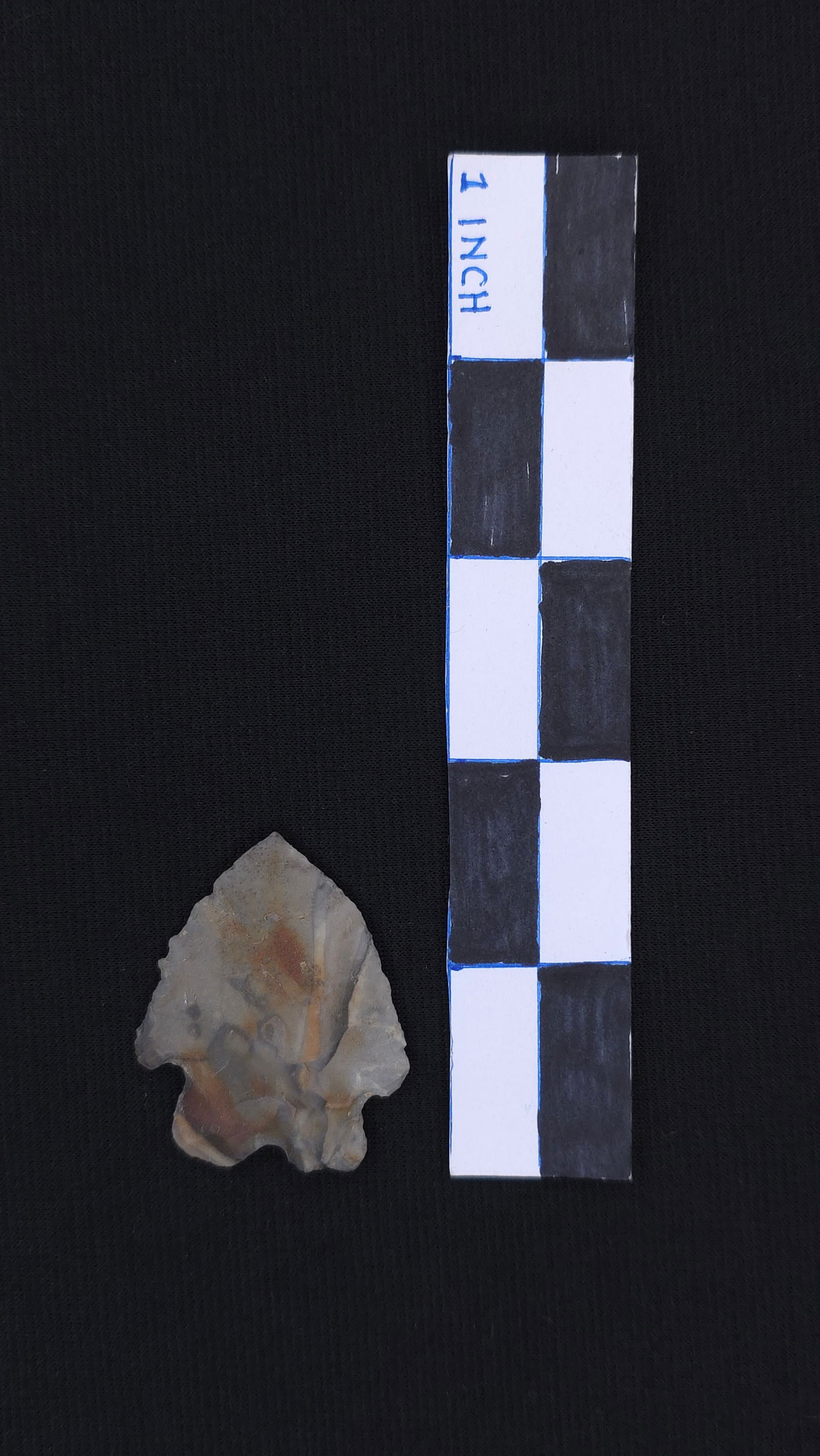 Kirk/Corner Notched (MO), 1 5/8" - RH COA included (1 of 4)