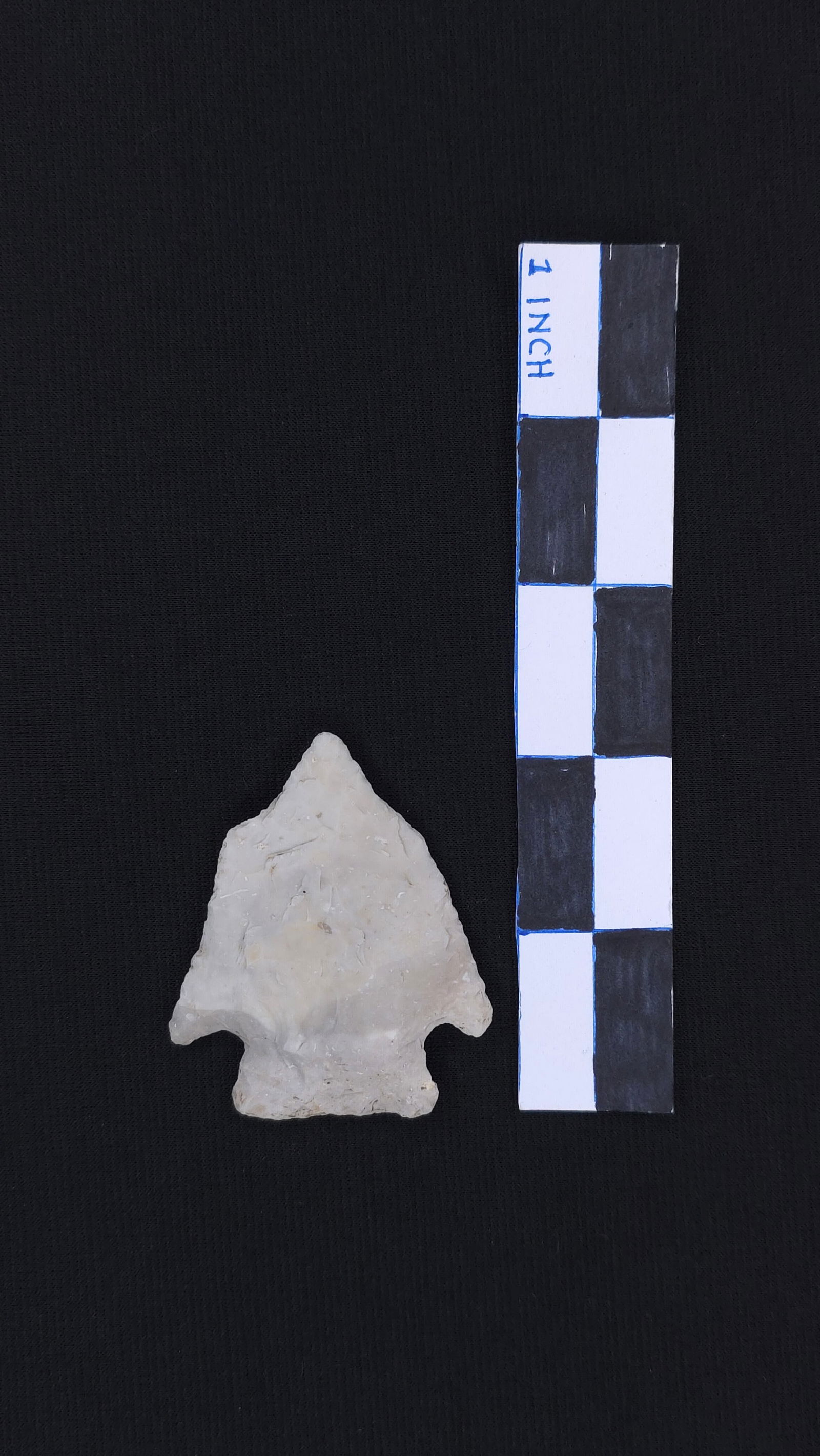 Afton (Burlington Chert - Polk Co. MO), 2 1/4" x 1 7/8" - Motley COA included (1 of 4)