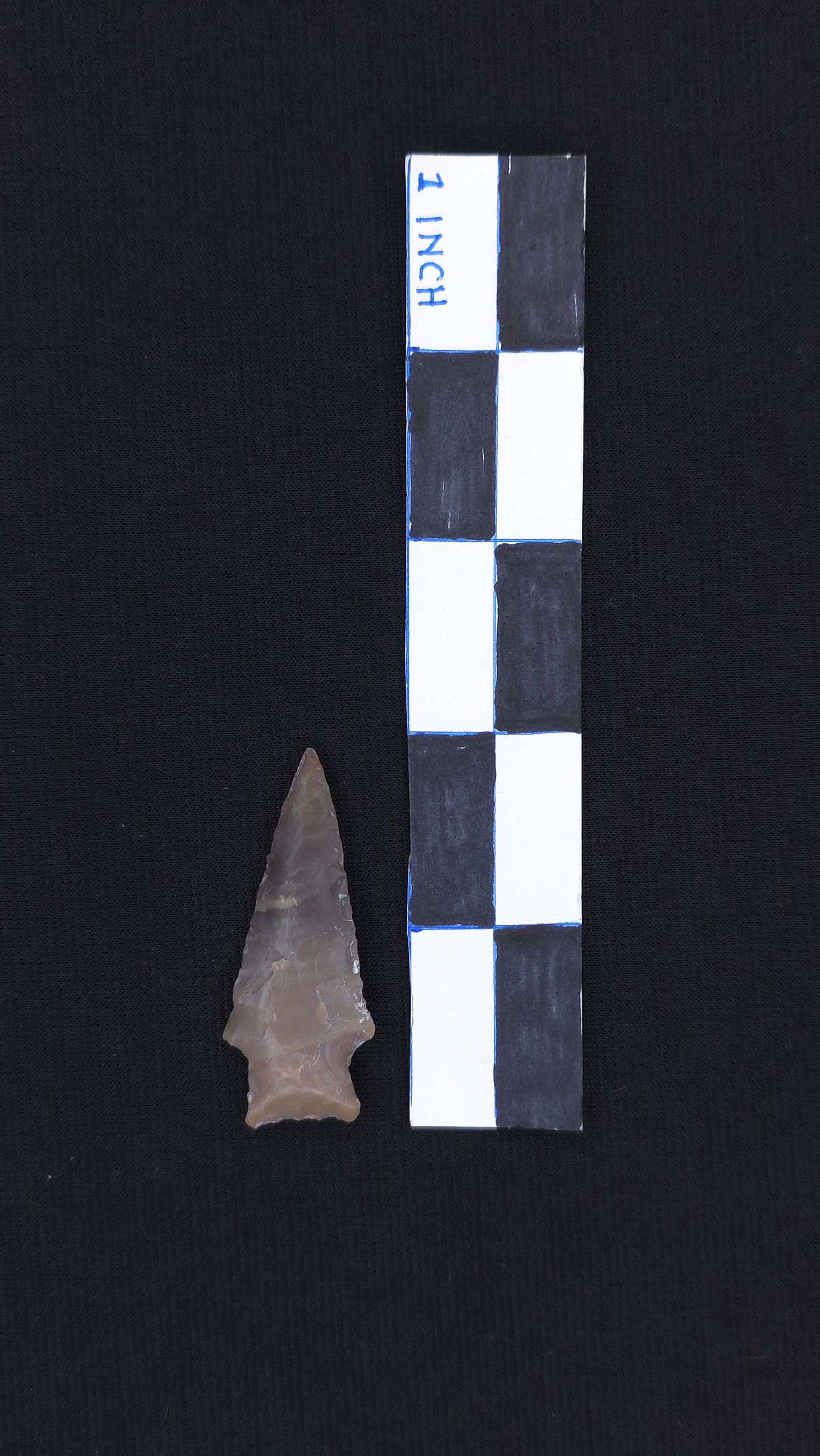 Snake River Corner Notched (Colombia River Plateau OR/WA), 2" x 13/16" - Stermer COA (1 of 4)