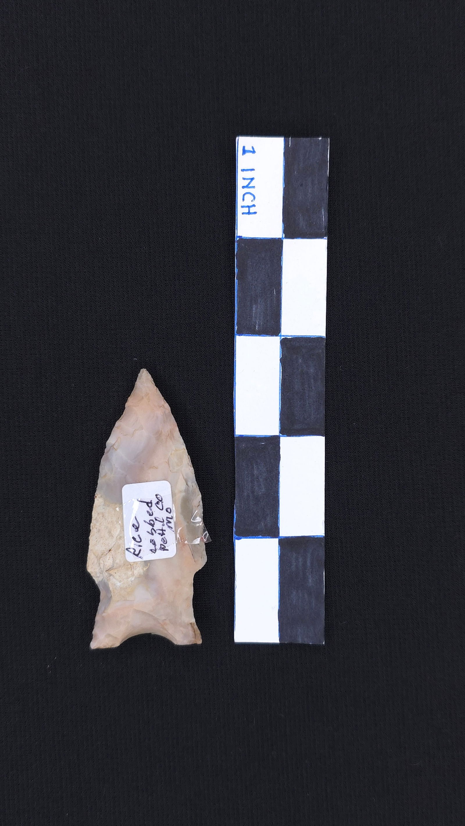 Rice (Pettit Co. MO), 2 3/4" - RH COA included (1 of 4)