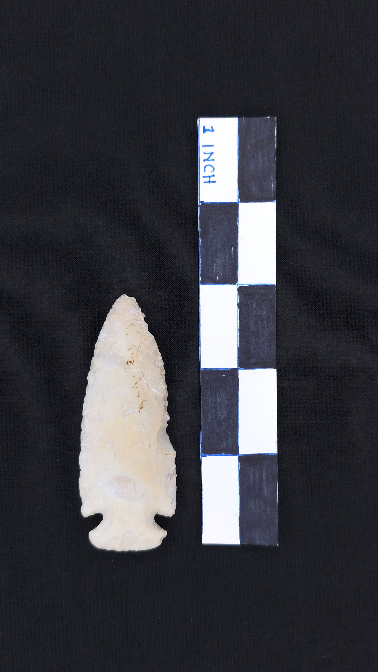 Dovetail (MO), 3" - RH COA included (1 of 4)