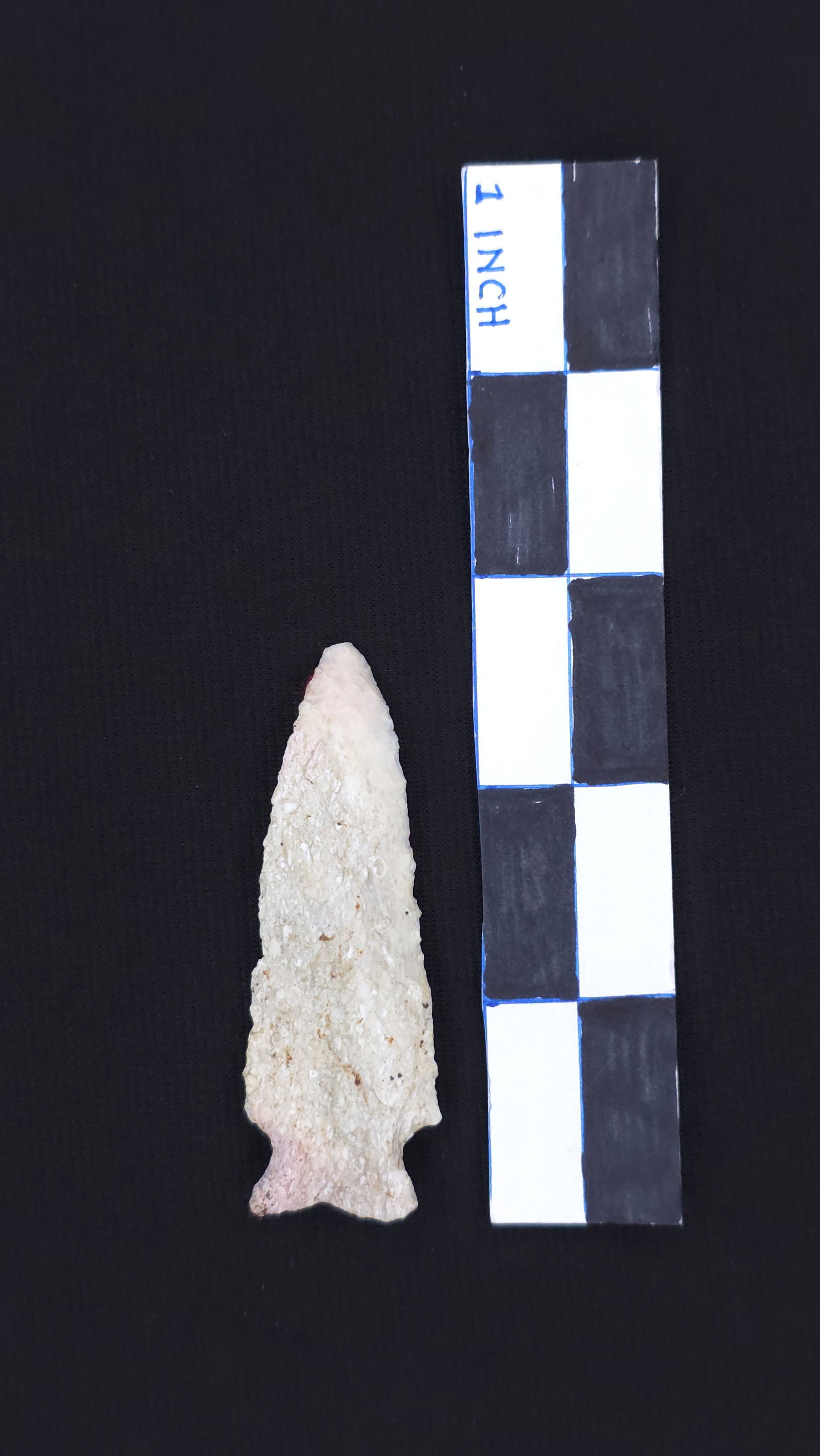 Rice Lobed, 2 3/4" - RH COA included (1 of 4)