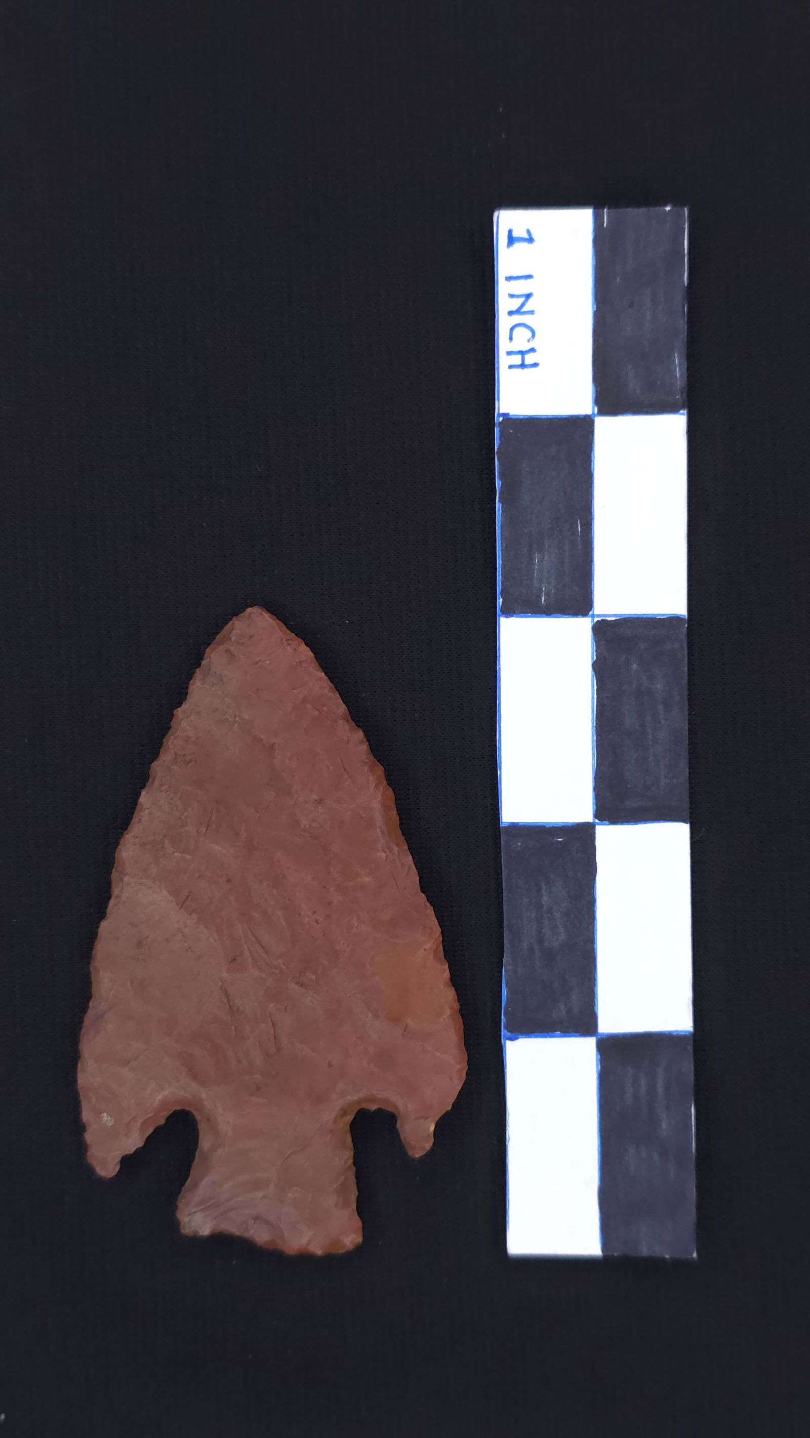 Hardin, 3 1/8" - RH COA included (1 of 4)