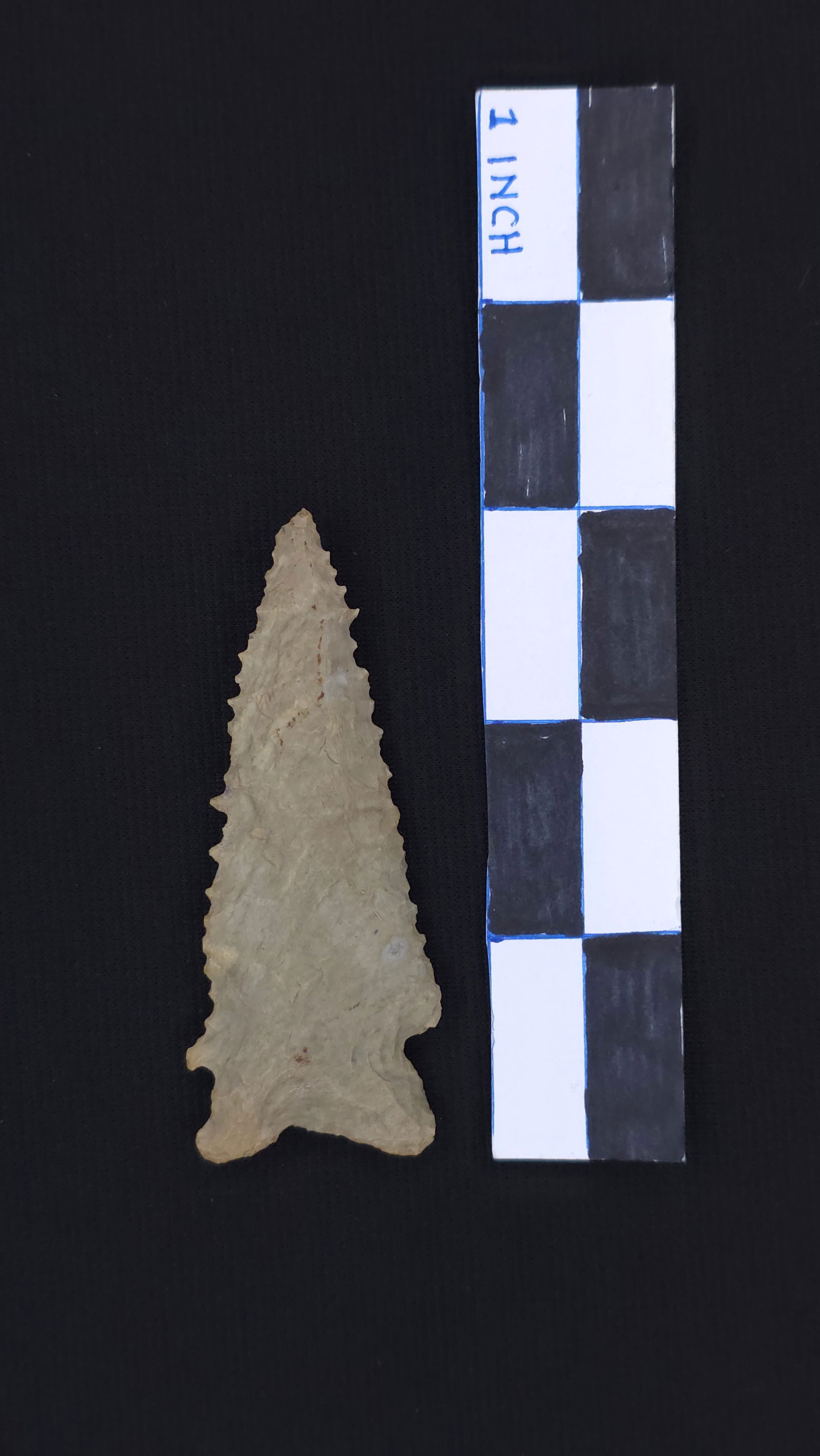 Rice Lobed (Yellow/Gray Chert - KY), 3 1/16" x 1 3/16" - Dwain Rogers COA included (1 of 4)