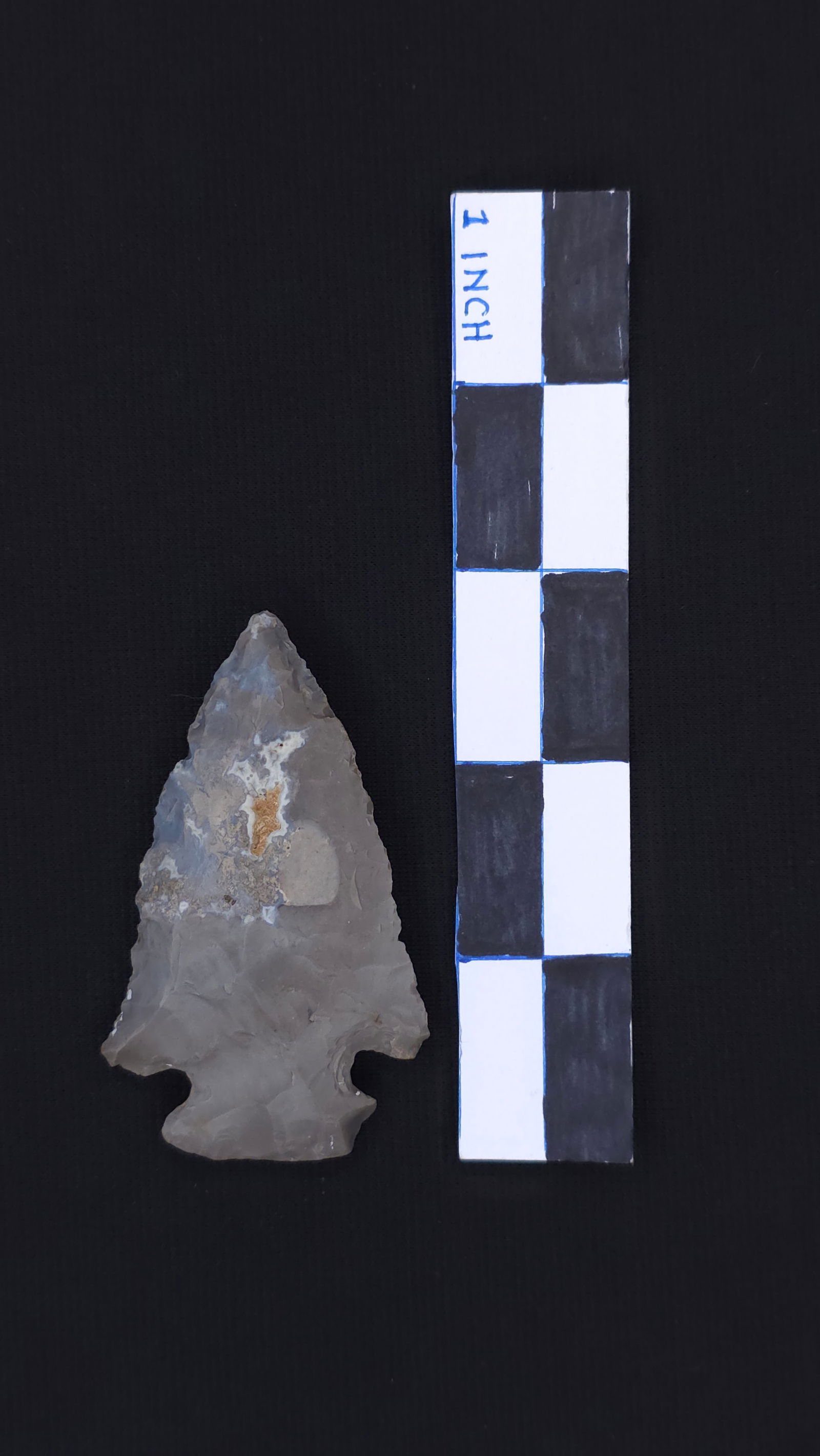 Thebes, 2 7/8" - RH COA included (1 of 4)