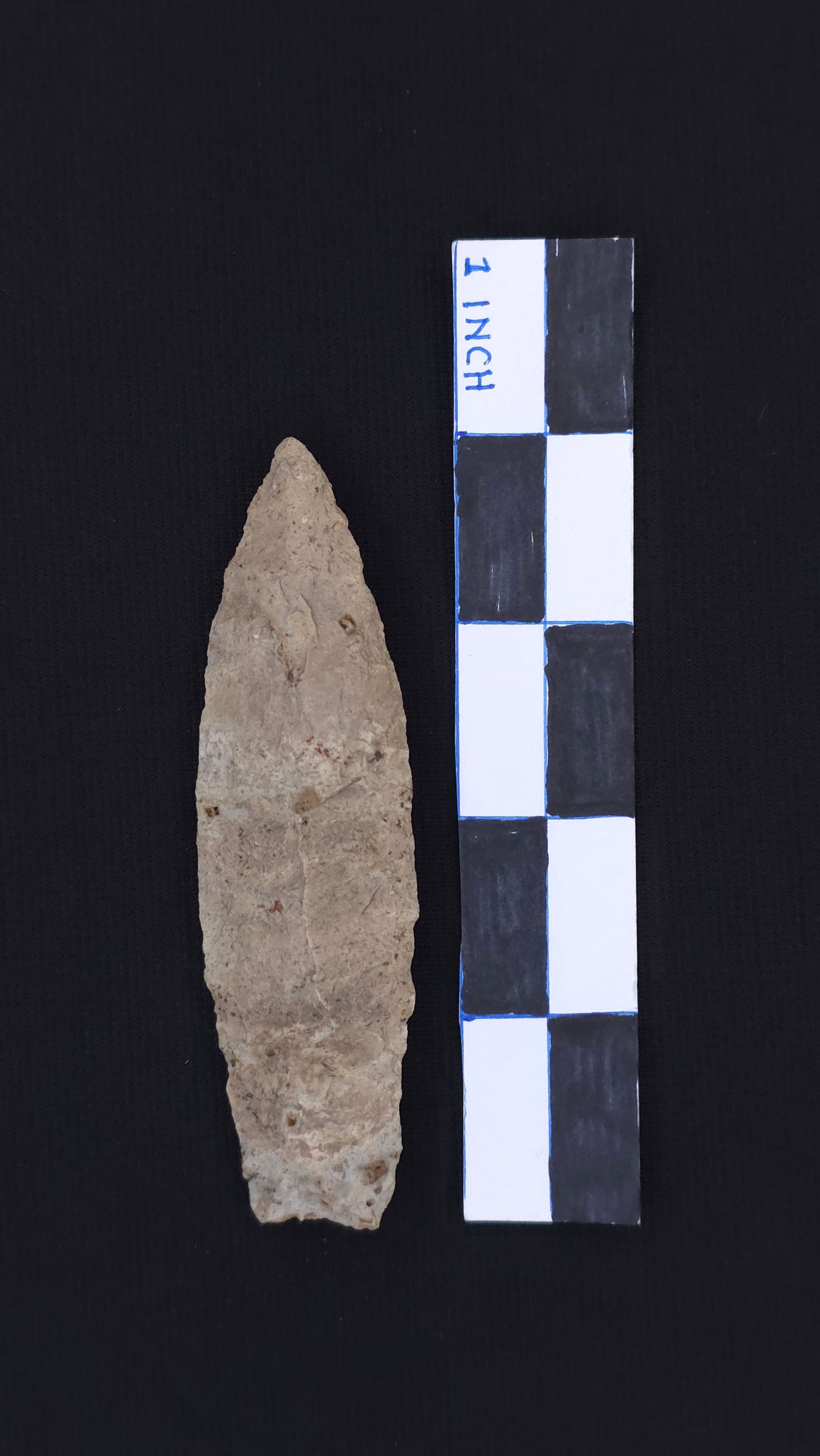 Sedalia (Pettis Co. MO), 4 1/8" - Motley and RH COAs included (1 of 5)