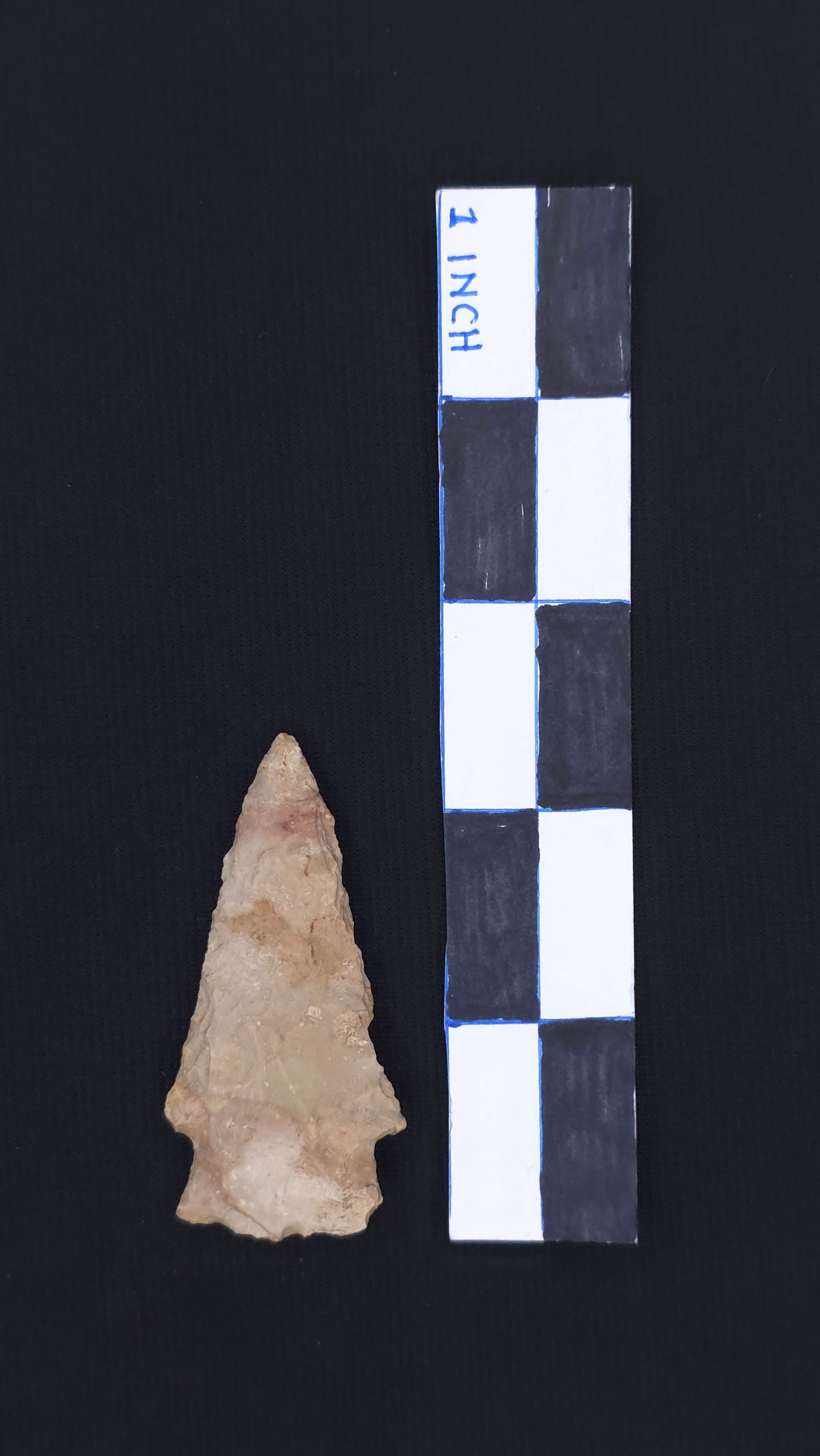 Stemmed Point, 2 3/8" - RH COA included (1 of 4)