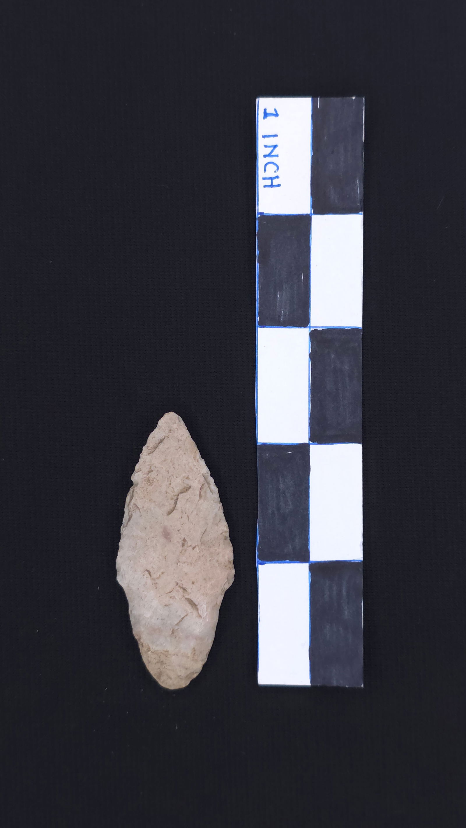 Adena Blade (MO), 2 3/8" - RH COA included (1 of 4)