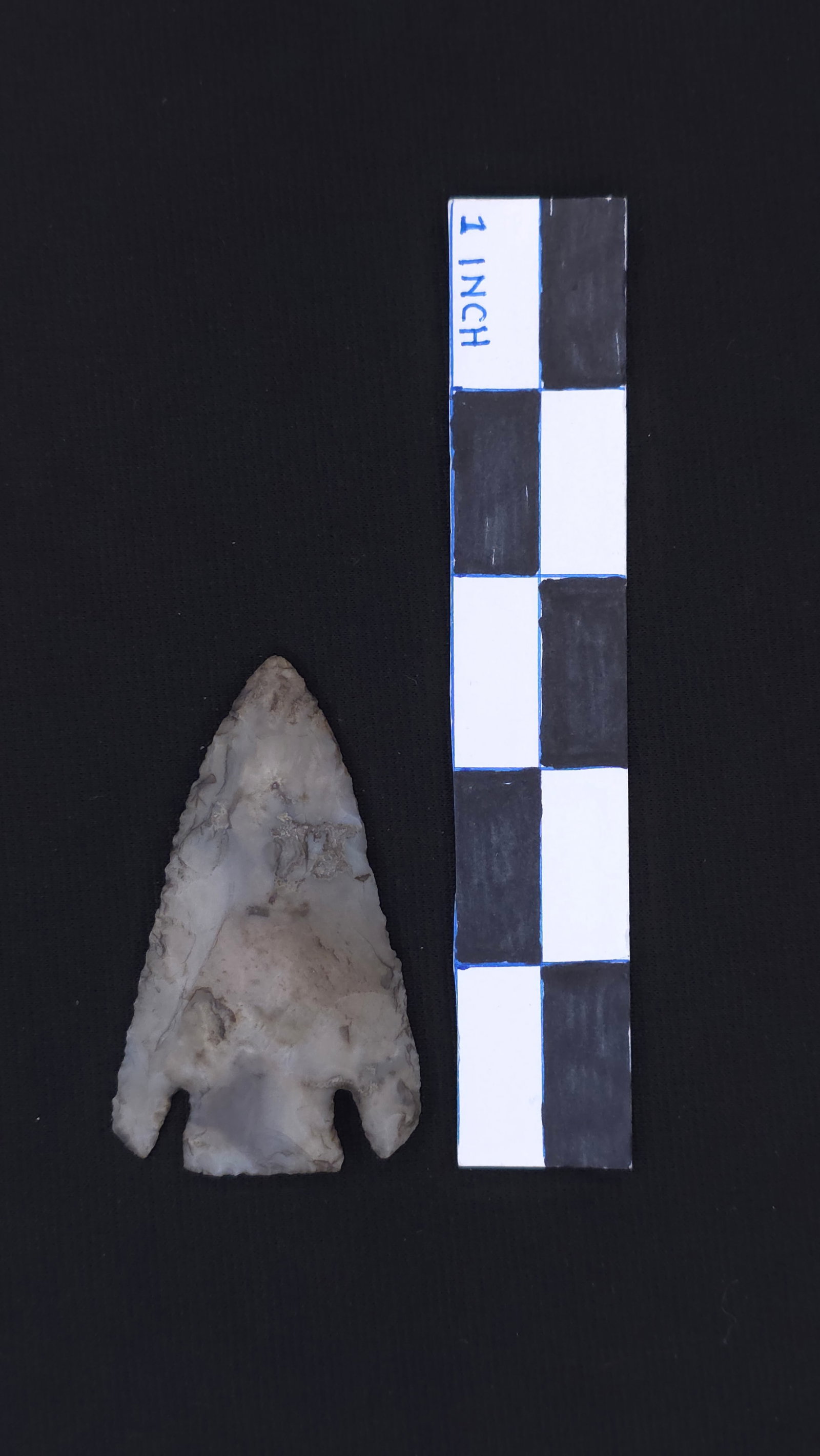 Smith (AR), 2 5/8" - RH COA included (1 of 4)