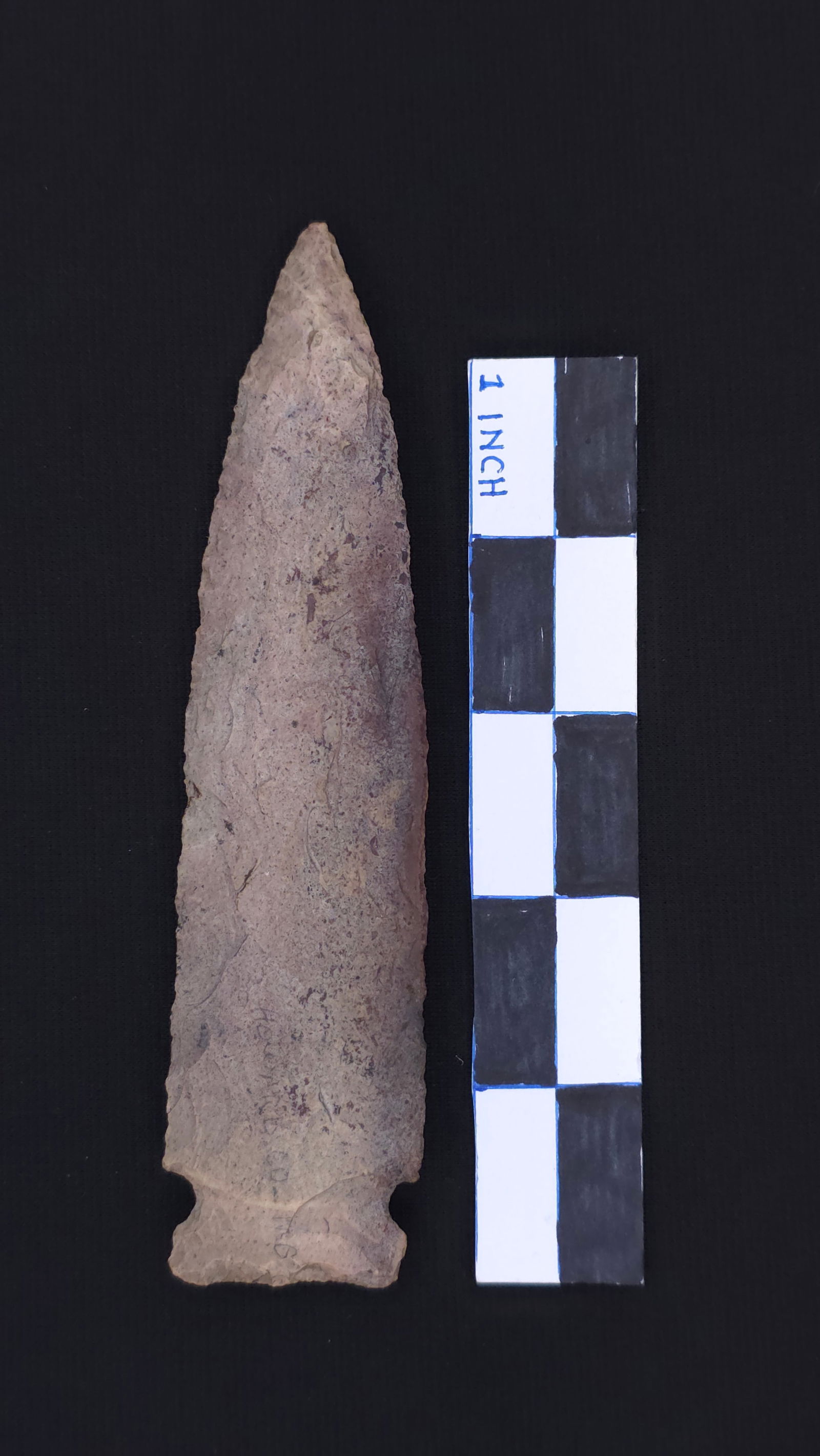 Osceola (MS), 5 3/4" - RH COA included (1 of 4)