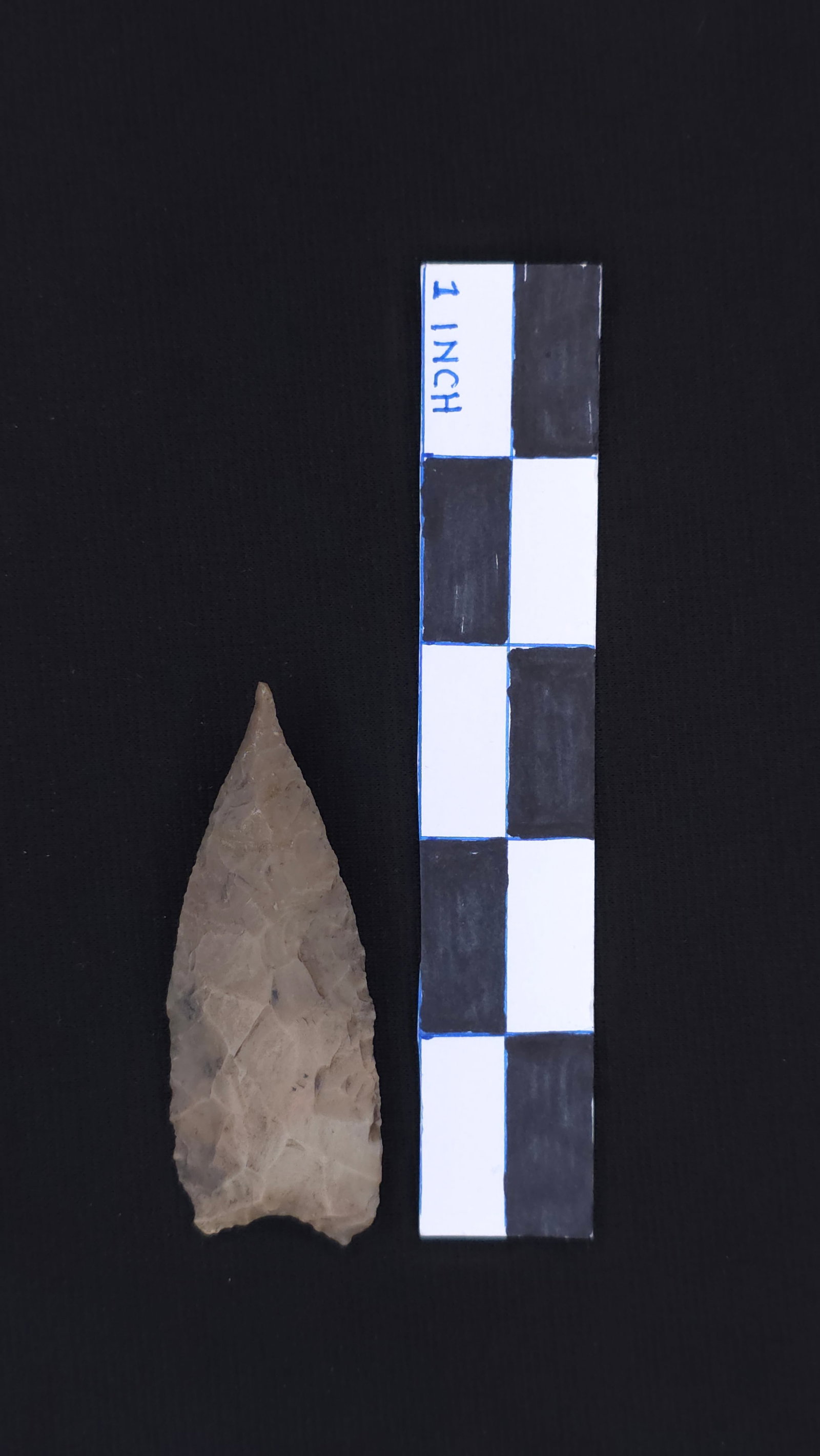 Angostura, 2 7/8" - RH COA included (1 of 2)