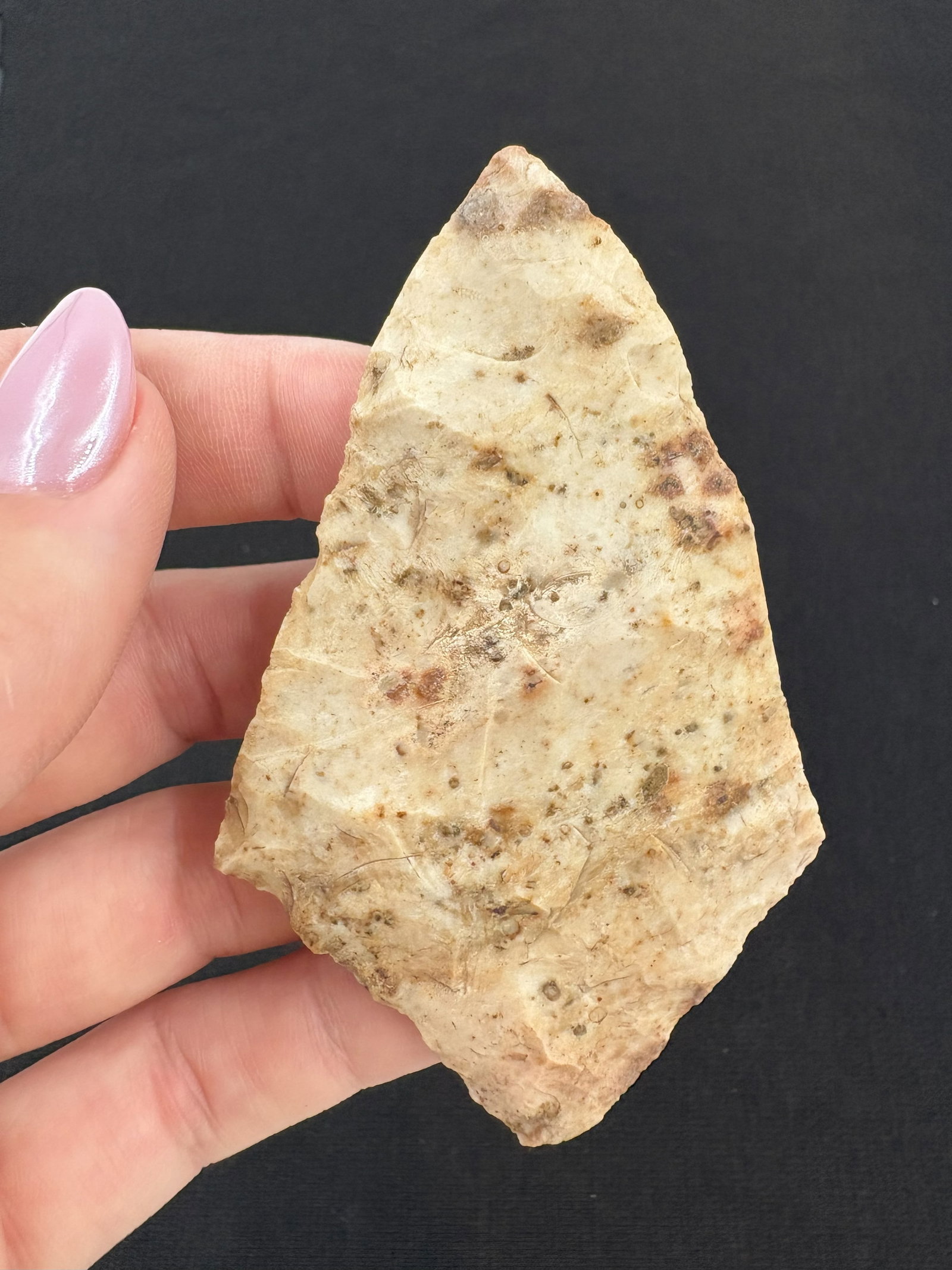 Piskar, 3 1/4" - RH COA included (1 of 4)