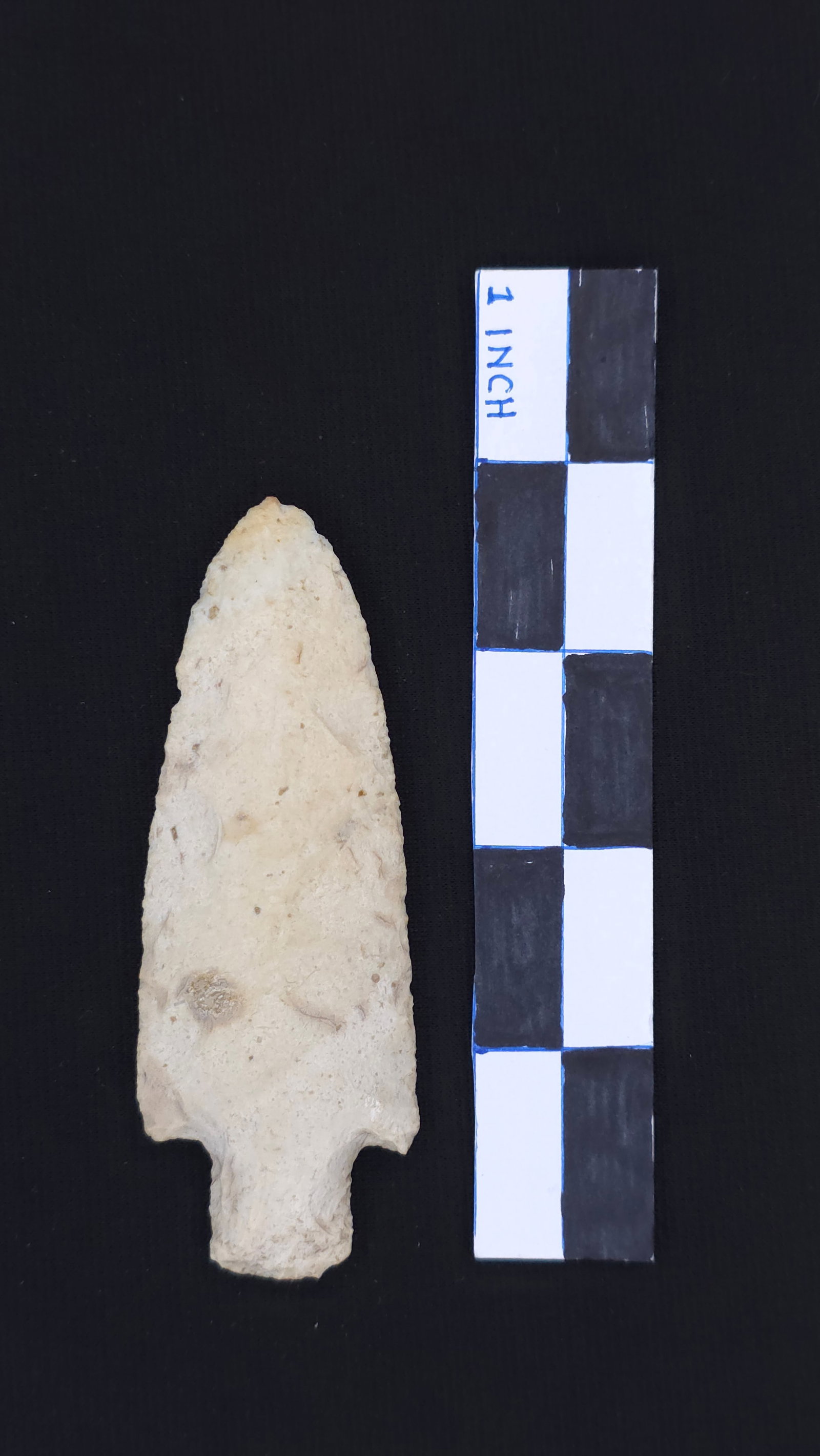 Little Bear Creek (Burlington Chert - Independence, MO), 3 7/8" x 1 3/8" - Sam Williams COA included (1 of 4)