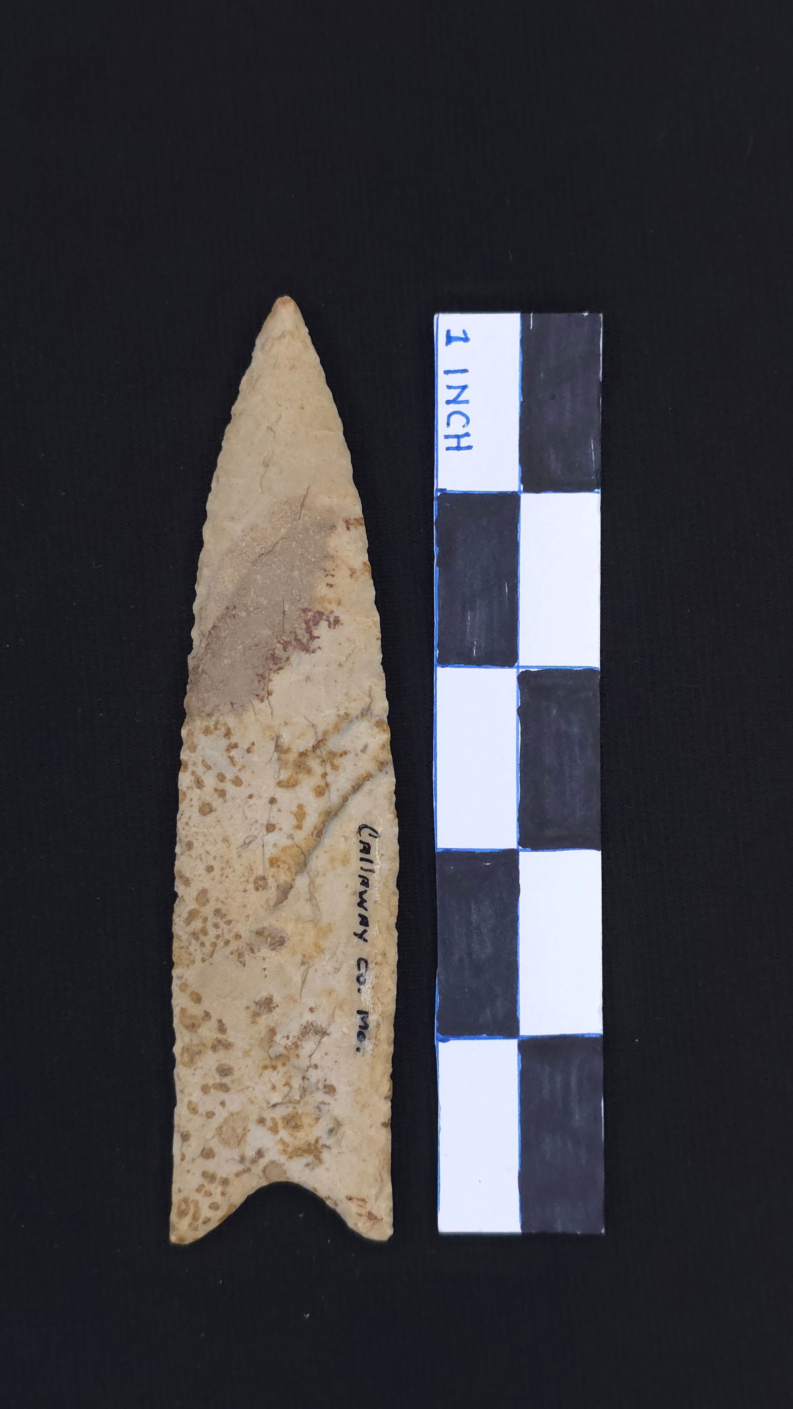 Dalton (Cream/Pink/Tan Chert - Midwest Region), 5 1/8" x 1 1/4" - Dwain Rogers COA included (1 of 5)