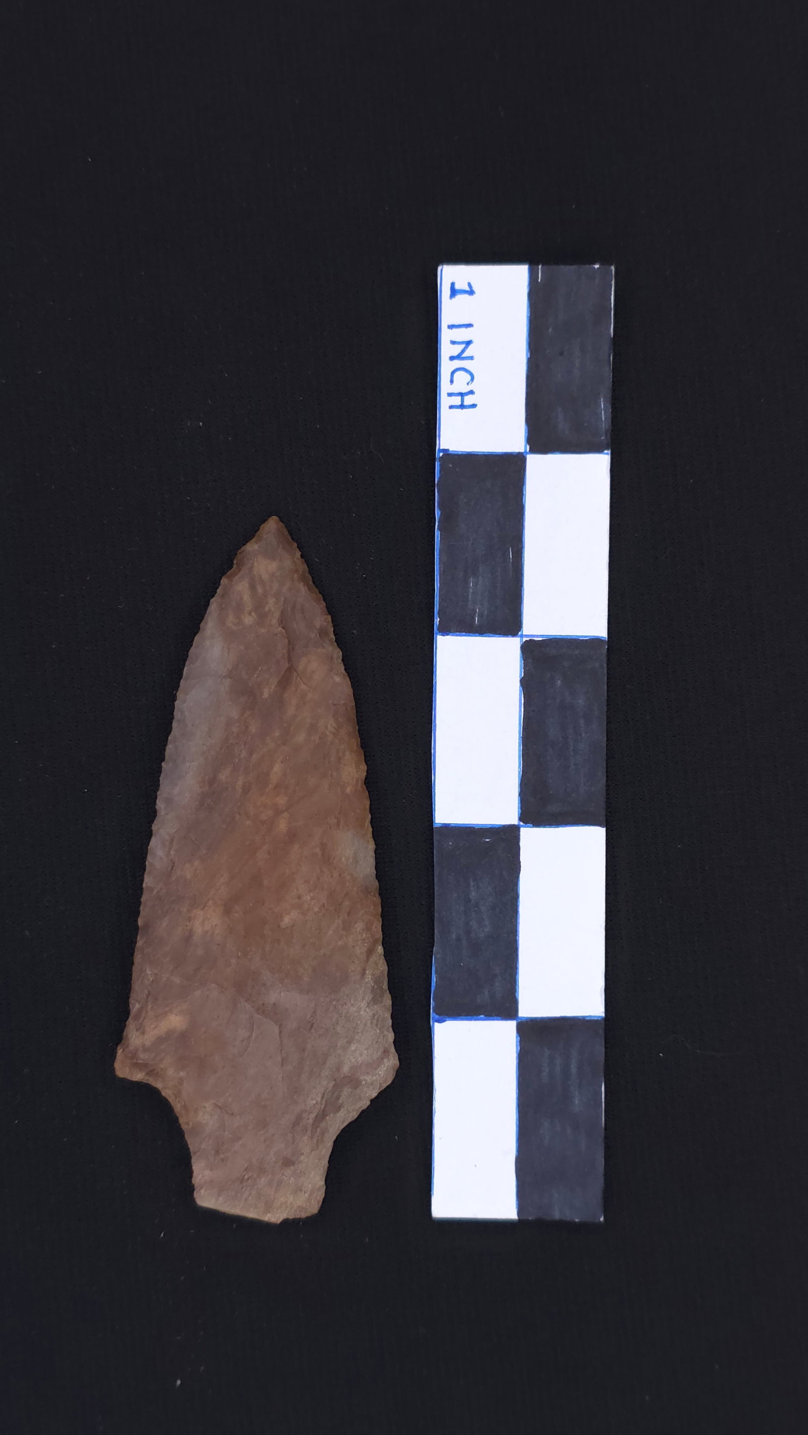 Pickwick (Red/Brown Dover Chert - Benton Co. TN), 3 11/16" x 1 1/2" - Tom Davis COA included (1 of 4)