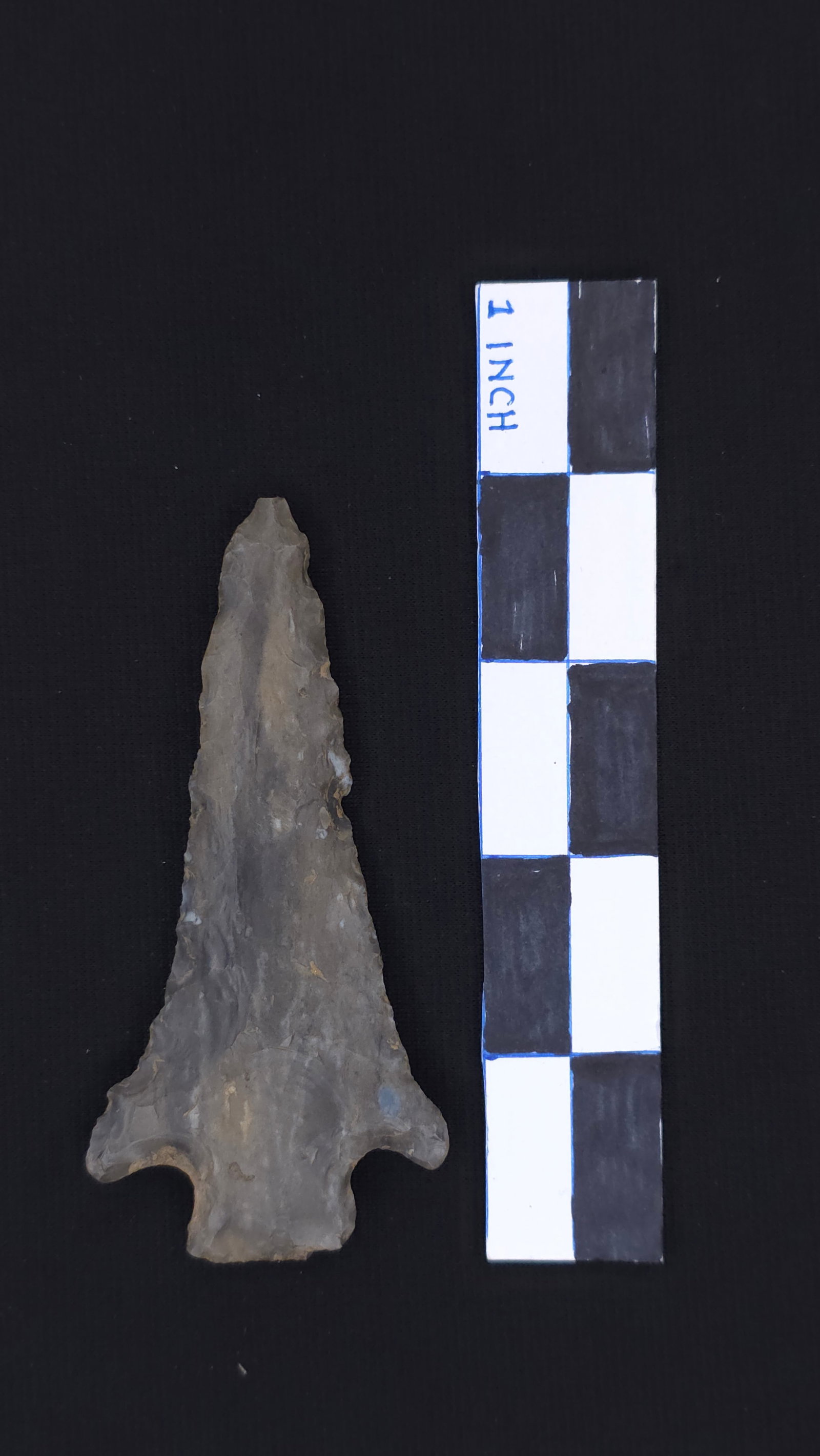 Pickwick (Gray/Brown Chert - KY), 3 7/8" x 1 13/16" - Dwain Rogers COA included (1 of 4)