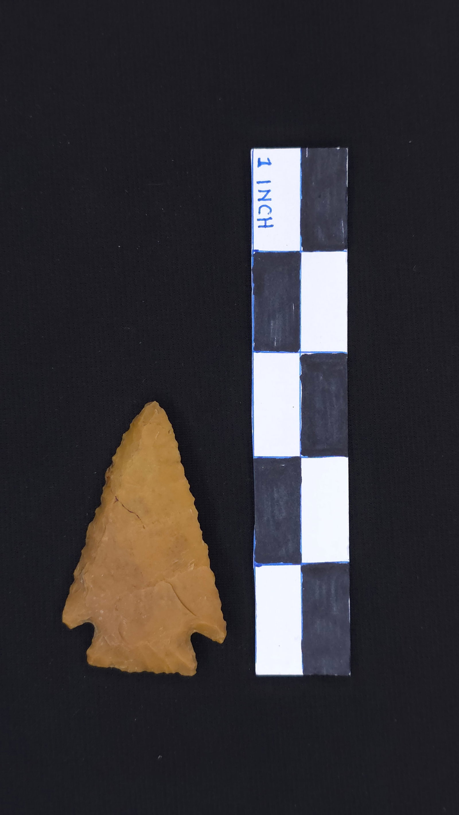 Hardin (Tan Jasper - Near Harrison, AR), 2 9/16" x 1 1/2" - Tim Davis and RH COAs included (1 of 4)