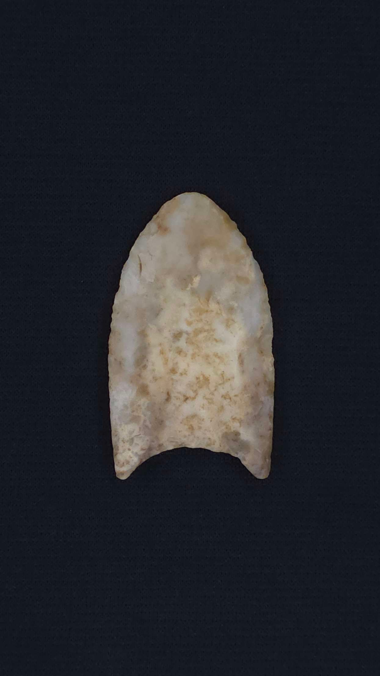 Folsom (Translucent Mottled Chert - Bent Co. CO), 1 3/4" x 1" - Benjamin E Stermer/ RH COAs included (1 of 7)
