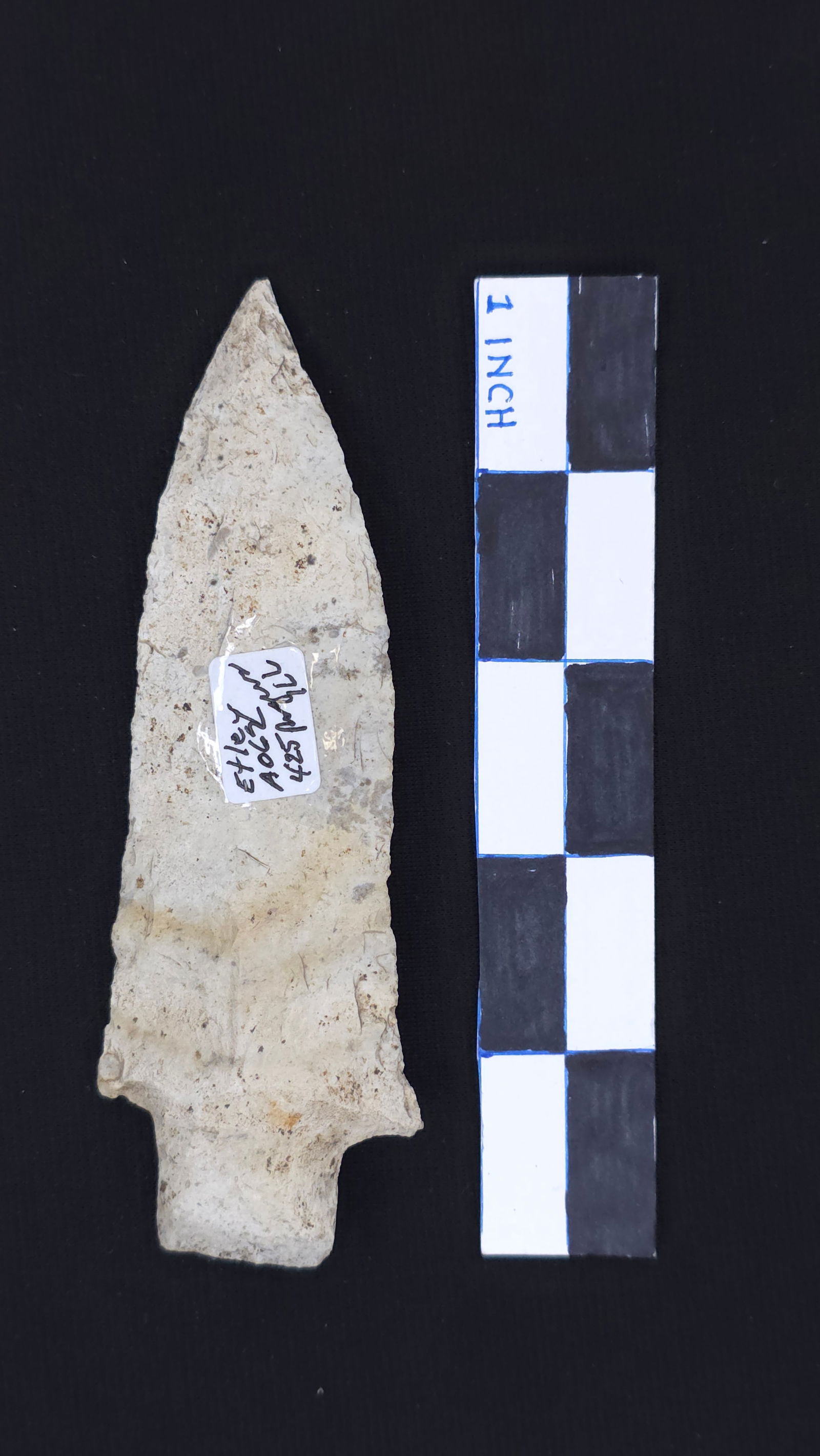 Etley (Cream/White Burlington Chert - Brown Co. IL), 5" x 1 11/16" - Dwain Rogers COA included (1 of 4)