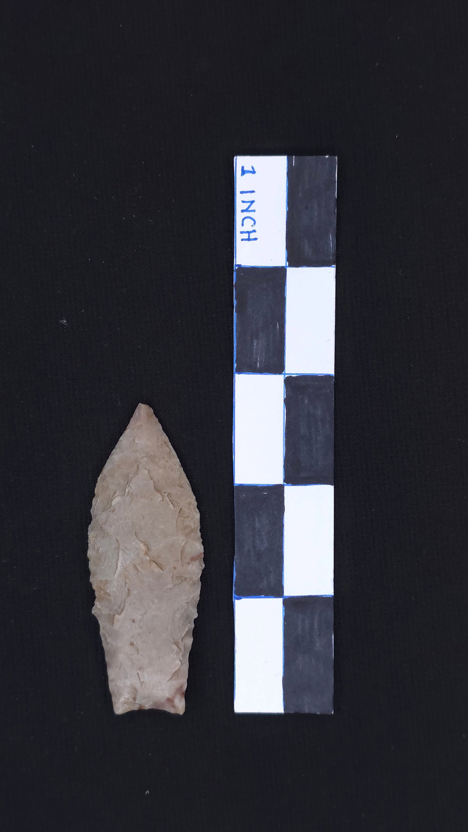 Angostura (Tan Chert - Medina Co. TX), 2 13/16" x 1 1/16" - Dwain Rogers COA included (1 of 4)