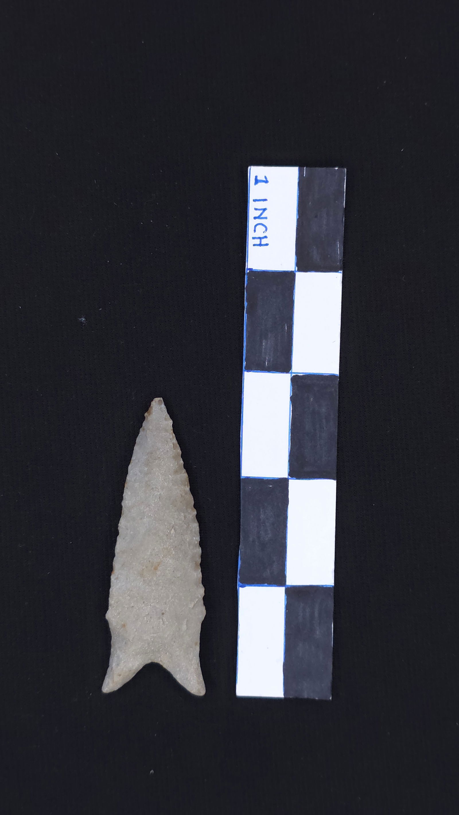 Vian Creek Dalton (Tan/Grey Chert - likely AR/OK), 2 13/16" x 1" - Benjamin E. Stermer COA included (1 of 4)