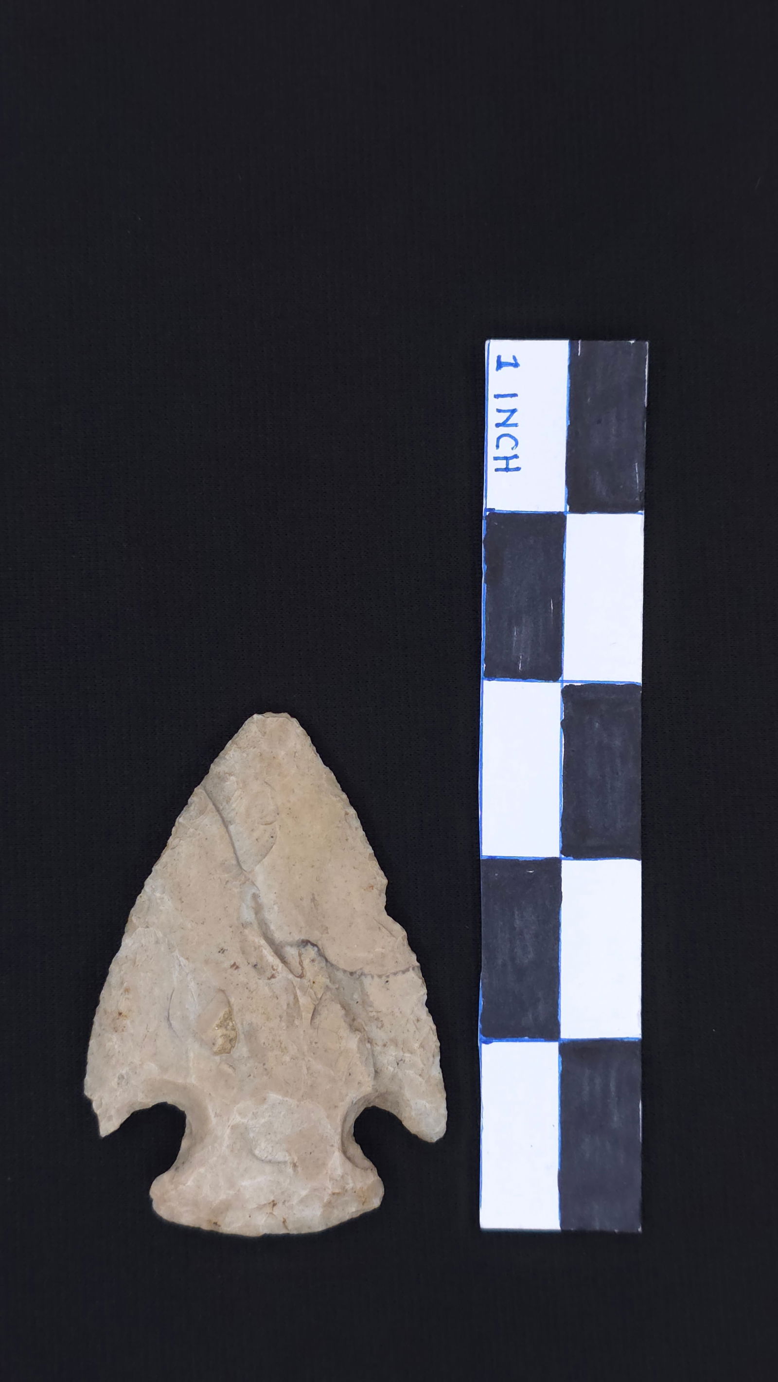 Snyder, 2 7/8" - RH COA included (1 of 4)