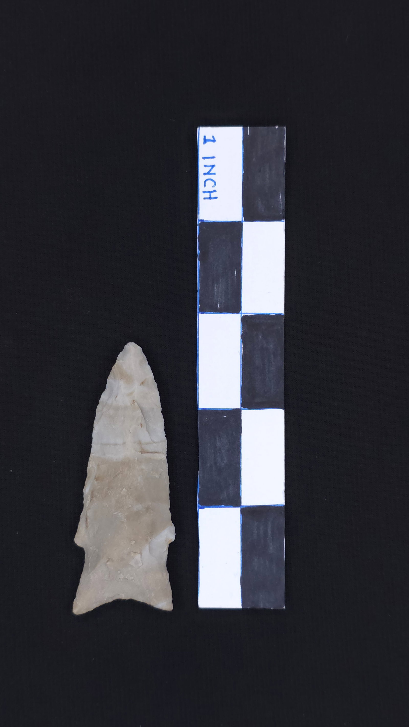 Rice Shallow Notch (MO), 2 3/4" - RH COA included (1 of 4)