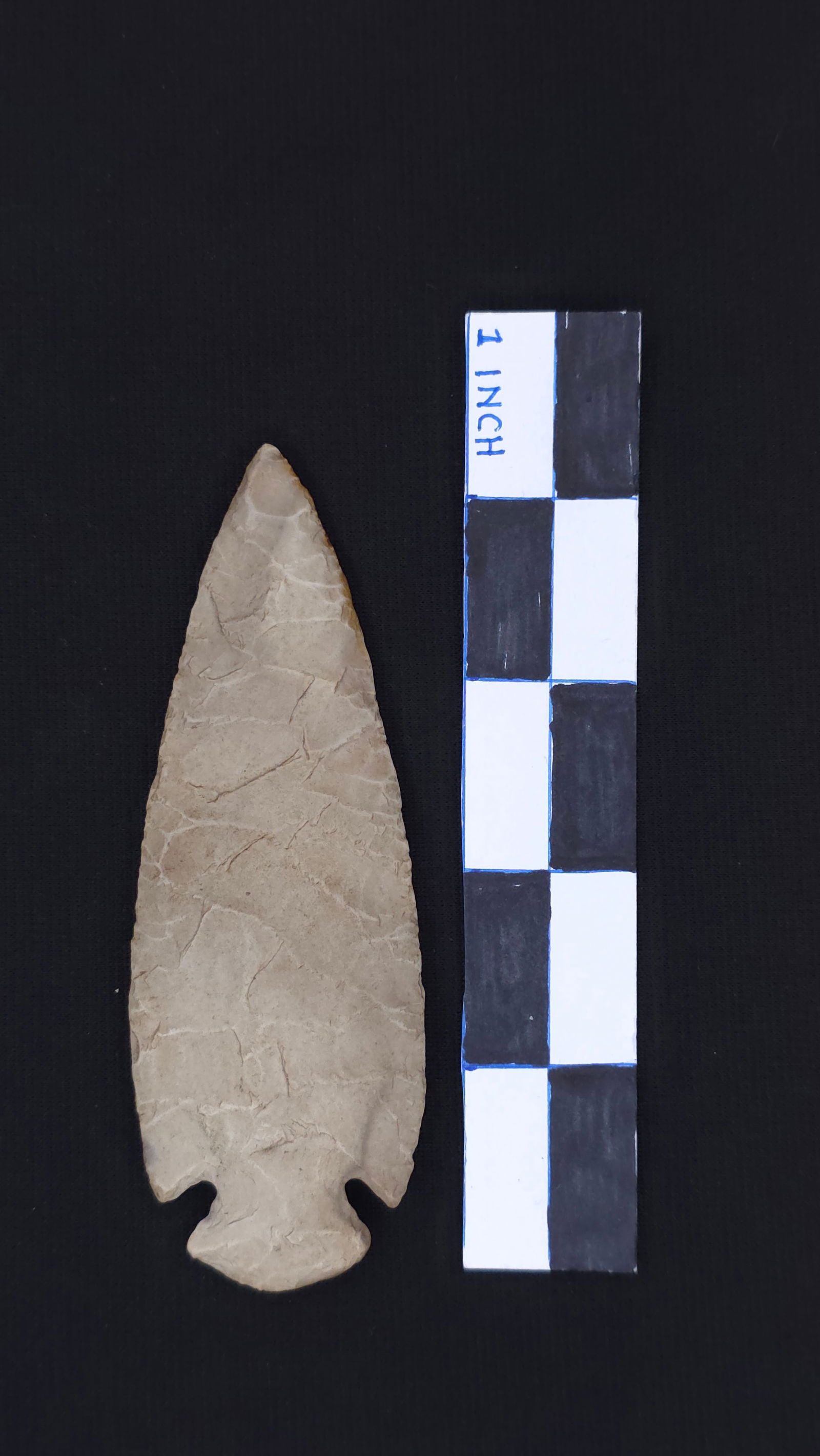 Dovetail, 4 1/2" (1 of 3)