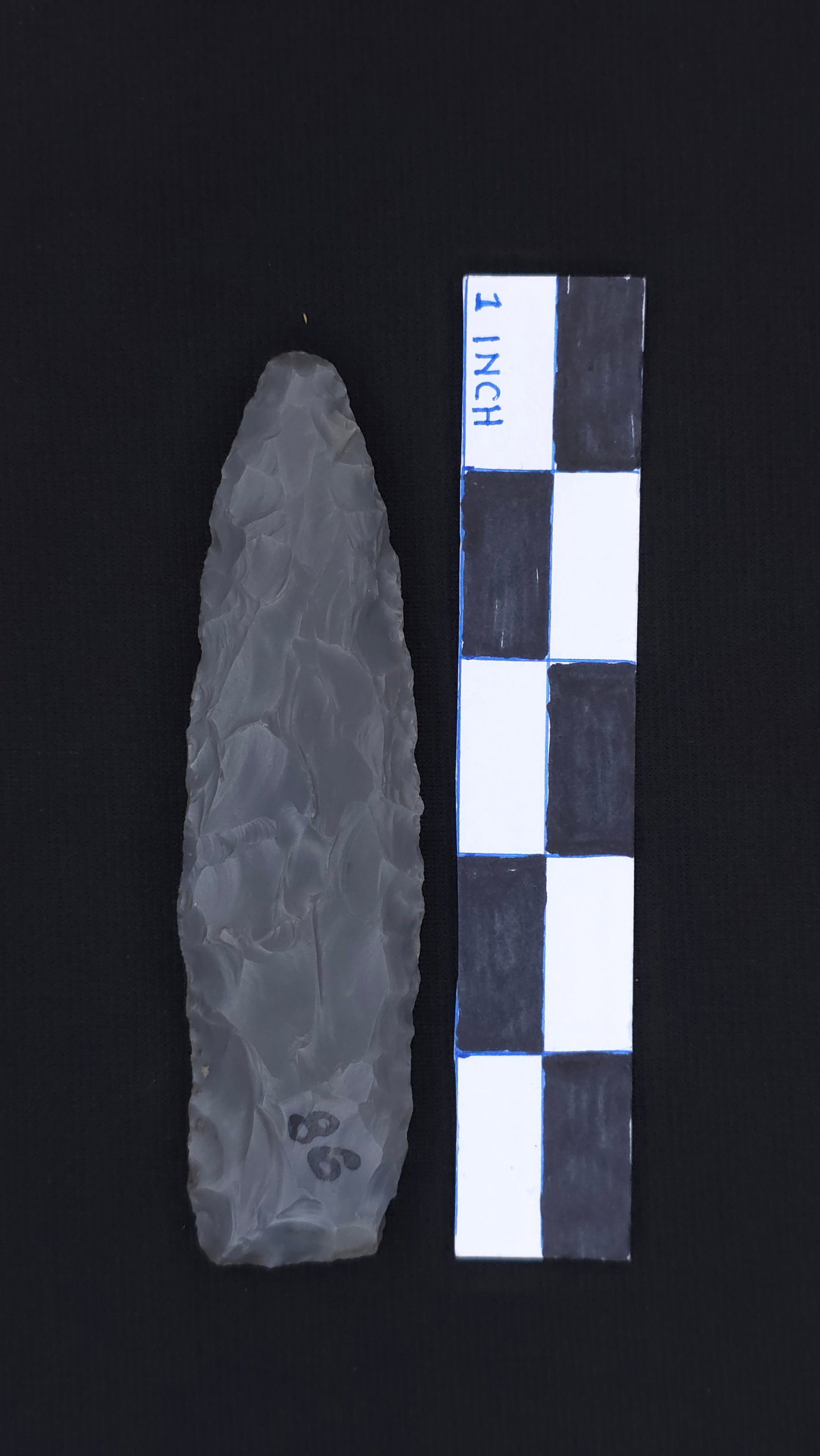 Lerma, 4 1/2" - COA included (1 of 4)