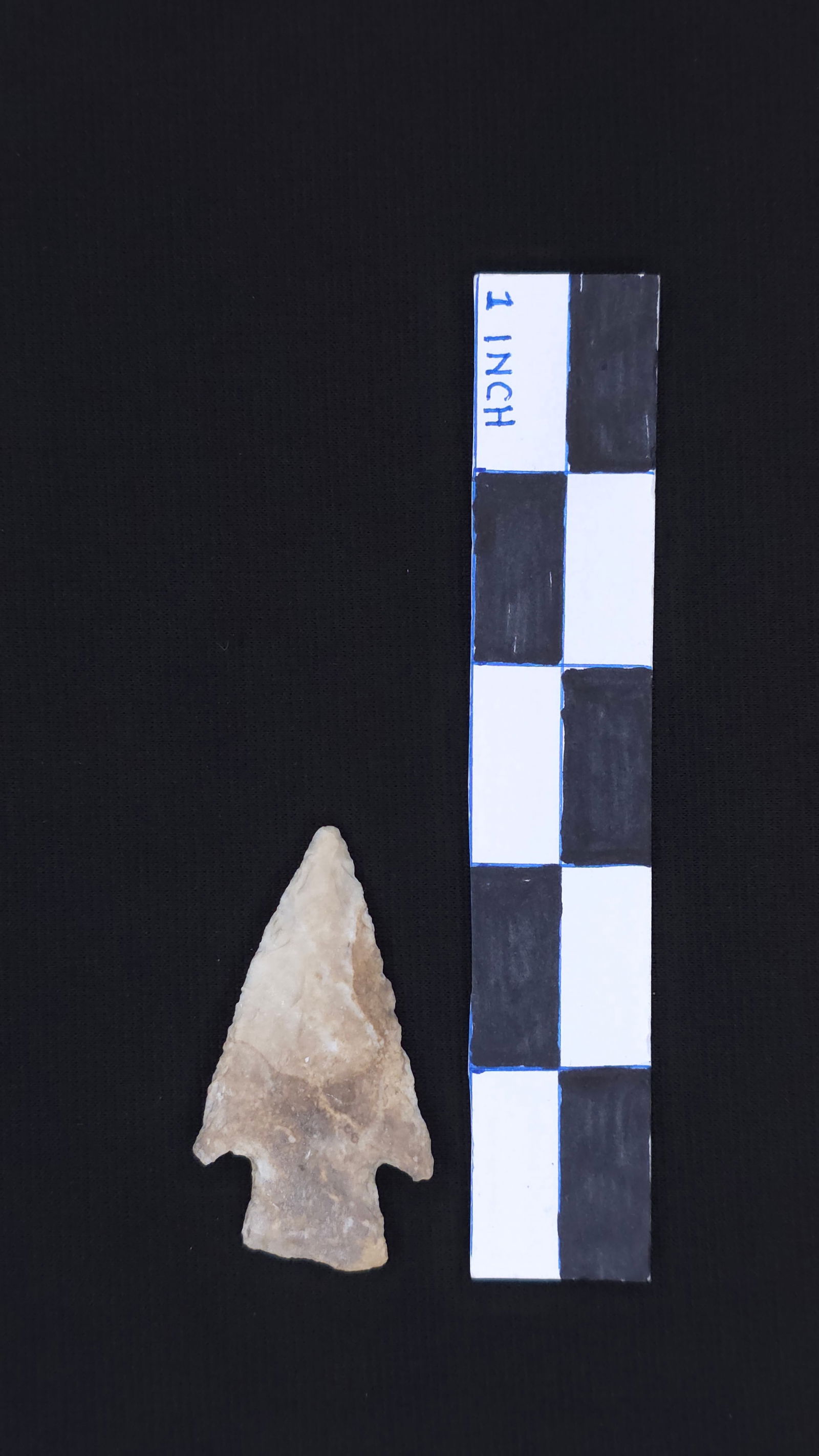 Hardin, 2 1/8" - COA included (1 of 4)