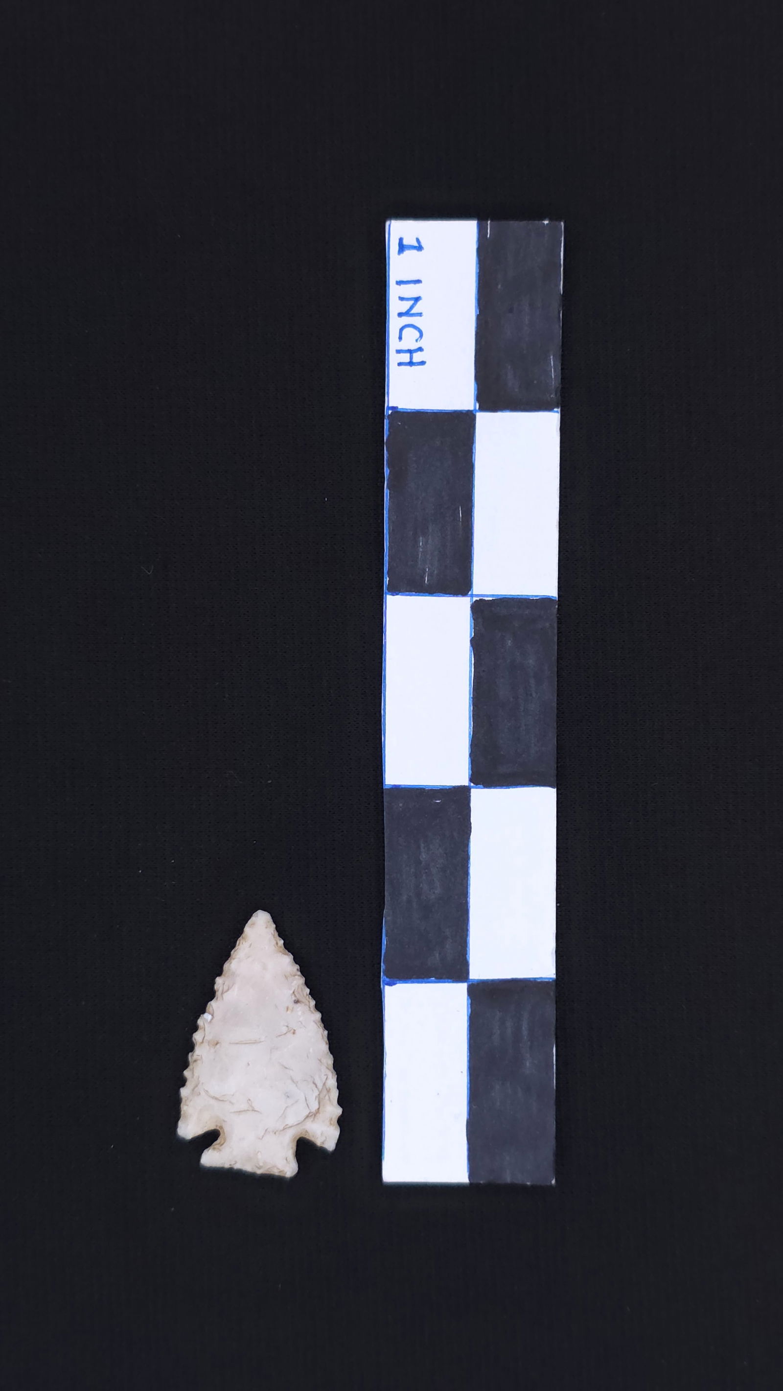 Corner Notch, 1 1/4" - COA included (1 of 4)