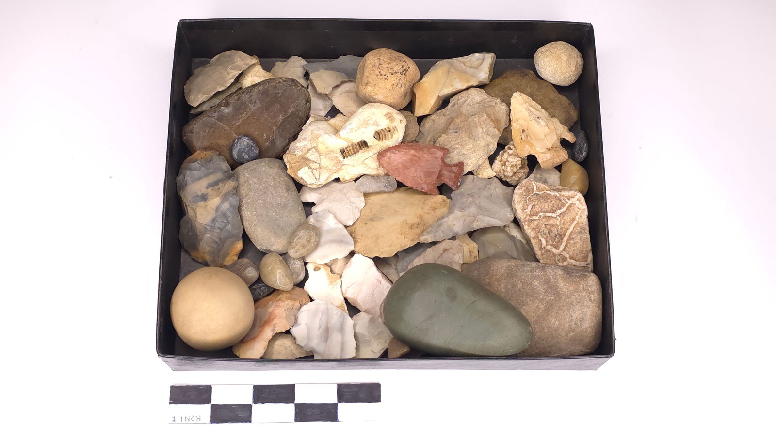 Box of Random Points, Game Balls, Minerals, and Fossils (1 of 1)