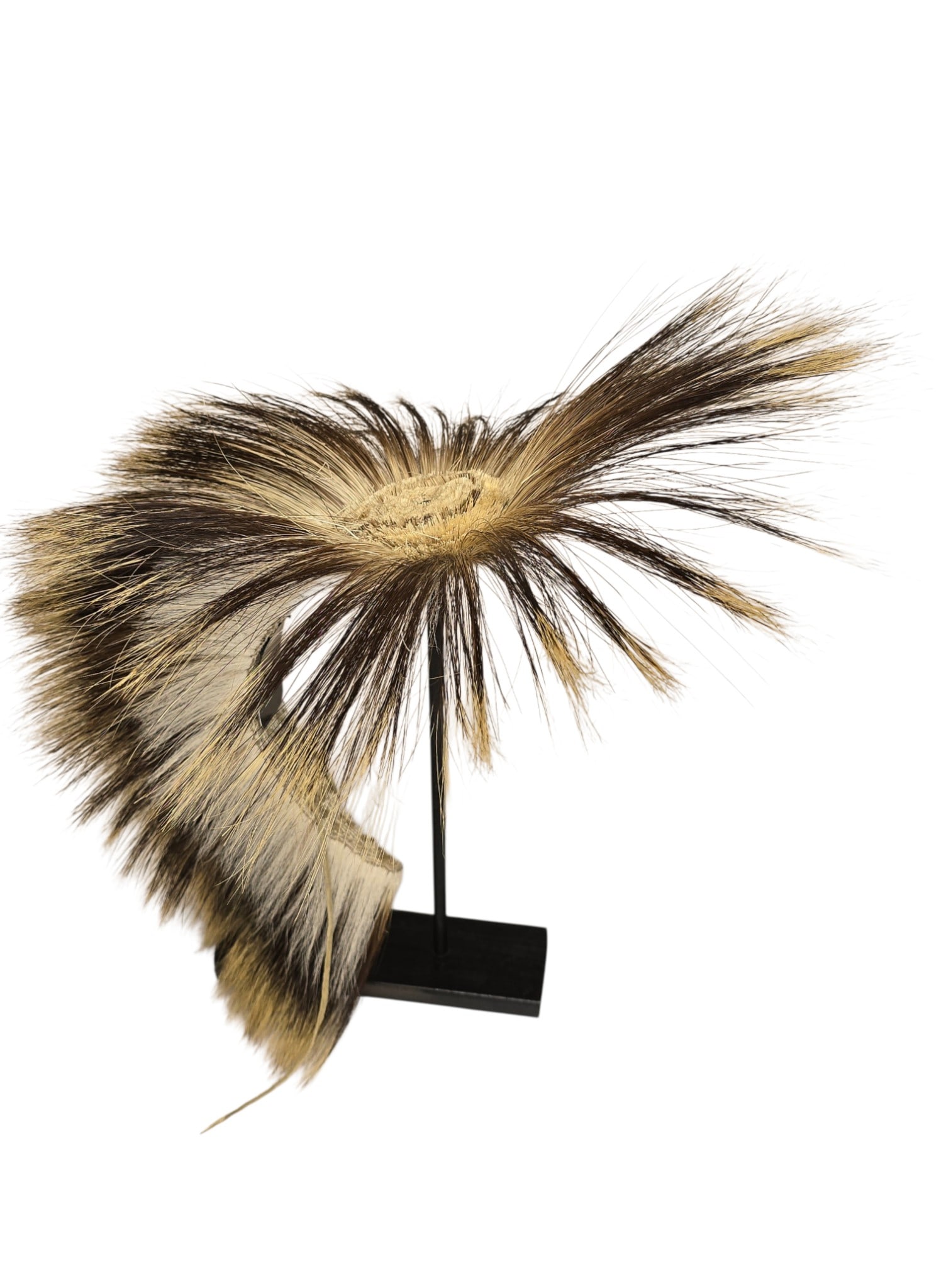 Sioux Porcupine Hair Roach, pre-1900 (1 of 4)