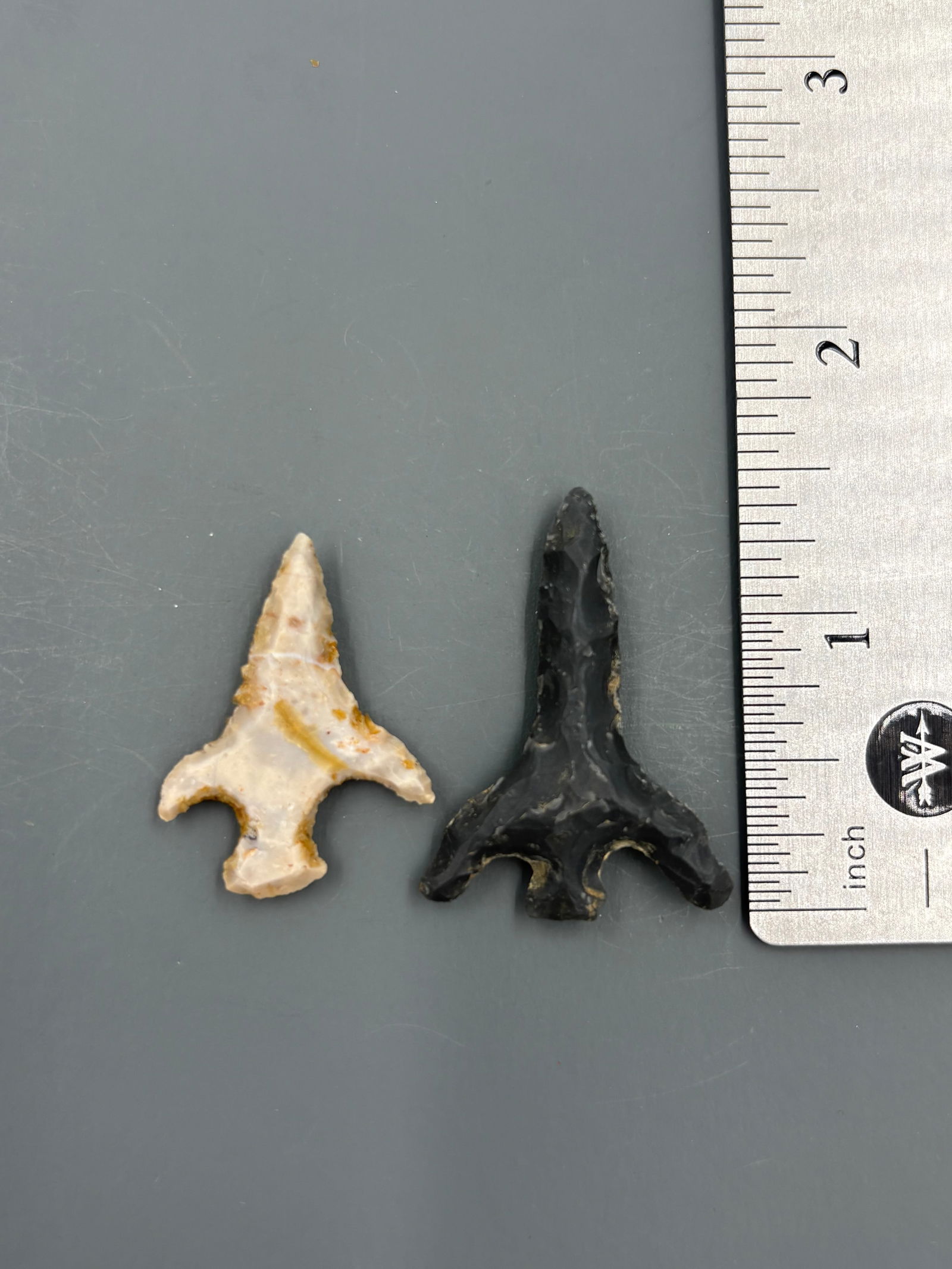 2 Birdpoint Drills (1 of 2)