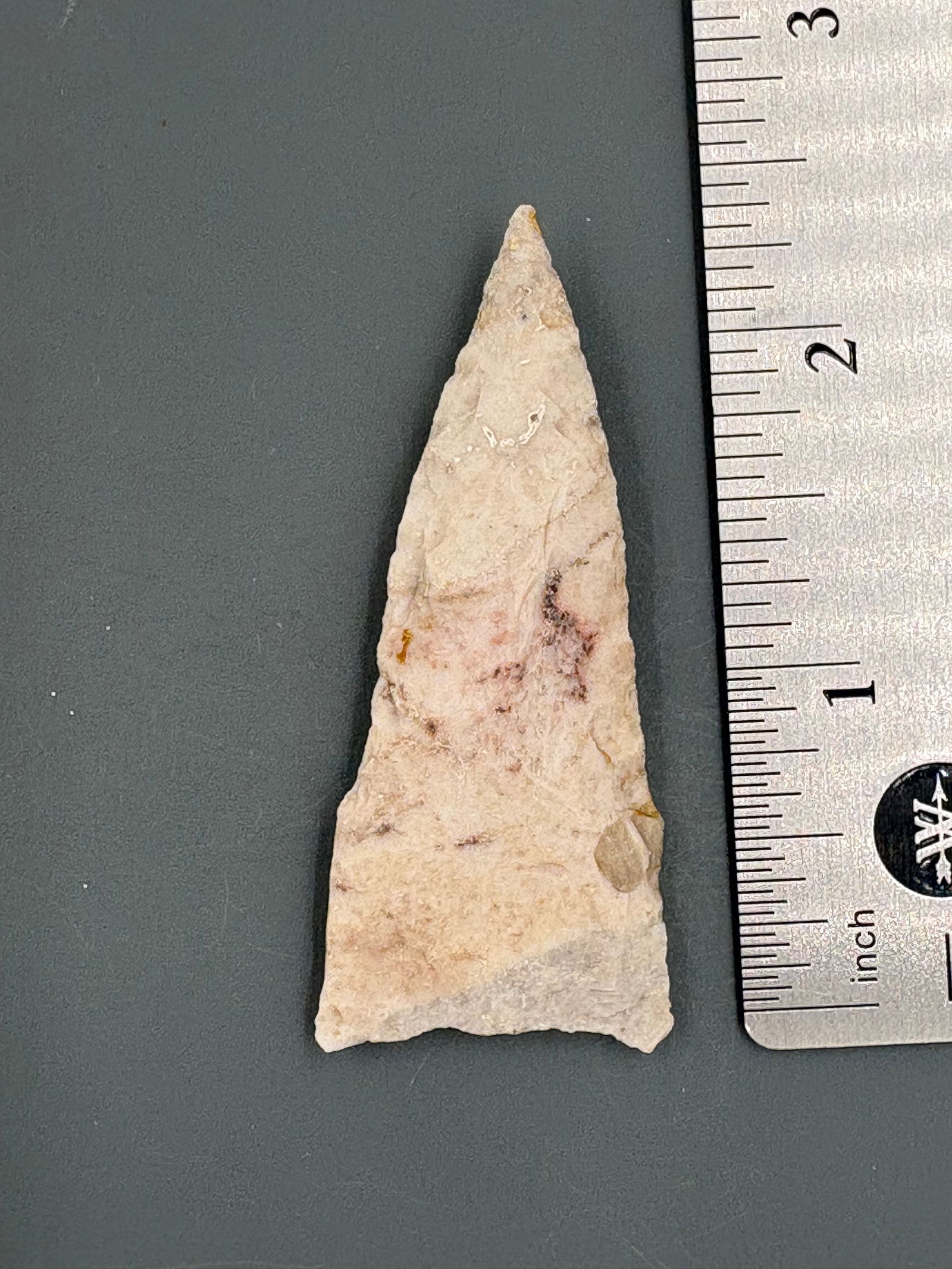 Dalton (Grey and white chert) - 2 1/2" - Relic House COA (1 of 4)