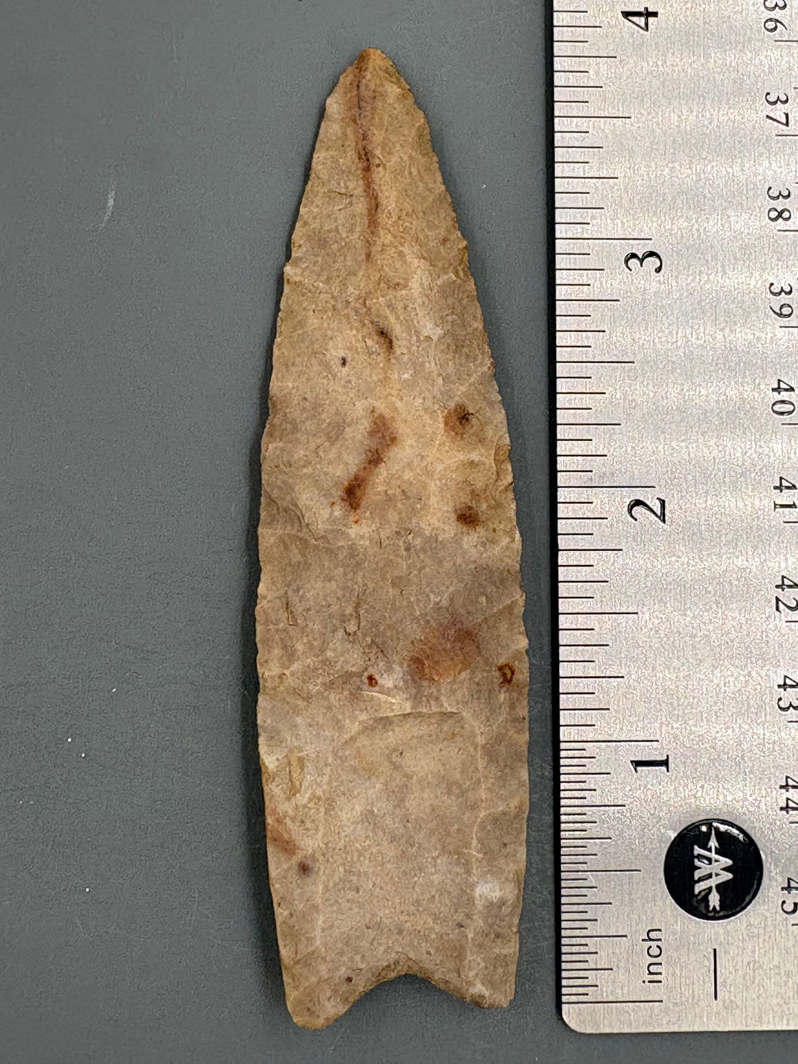 Clovis - 3 3/4" - Relic House COA (1 of 5)