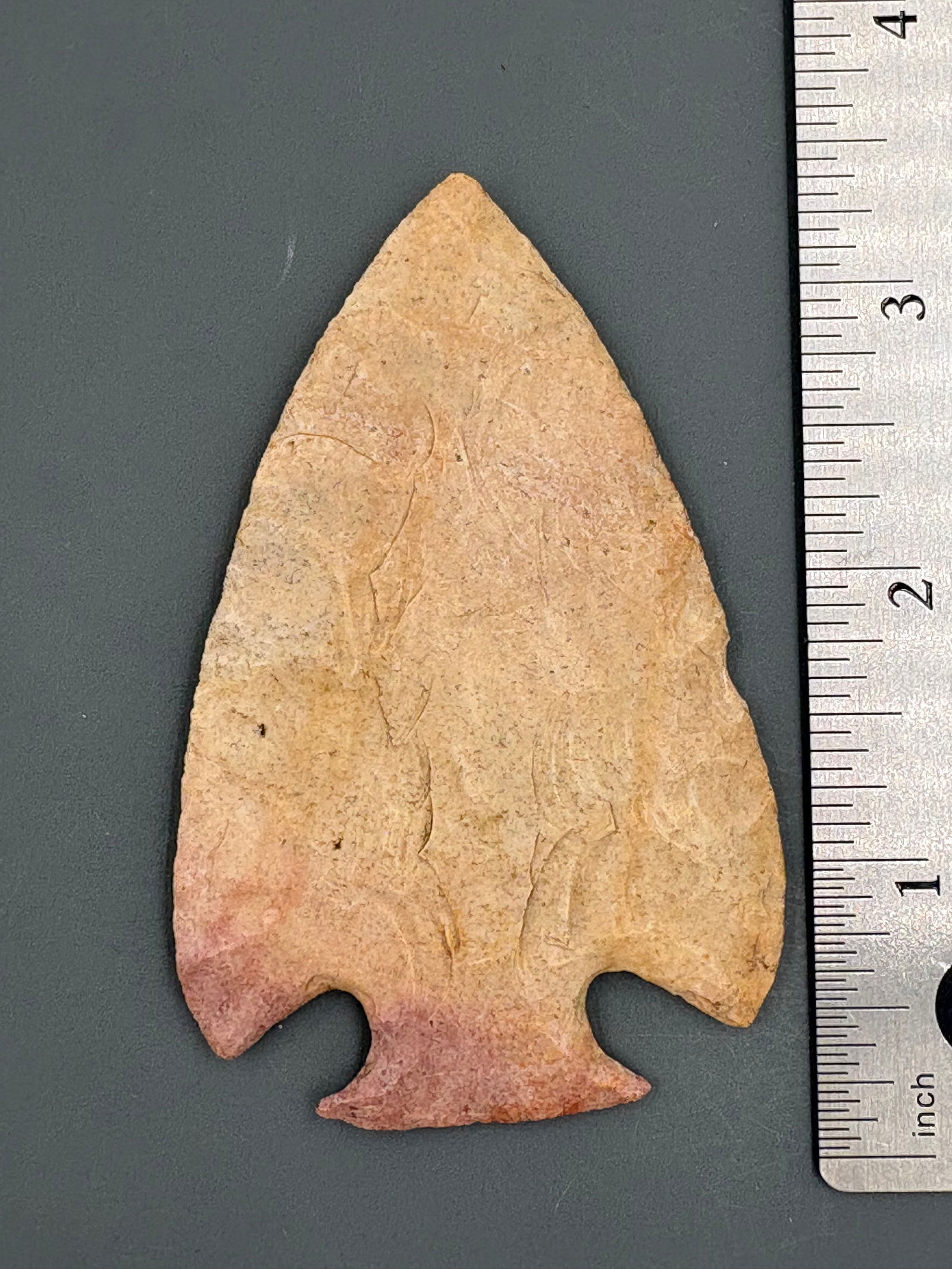 Snyder - 3 1/8" - Relic House COA (1 of 4)