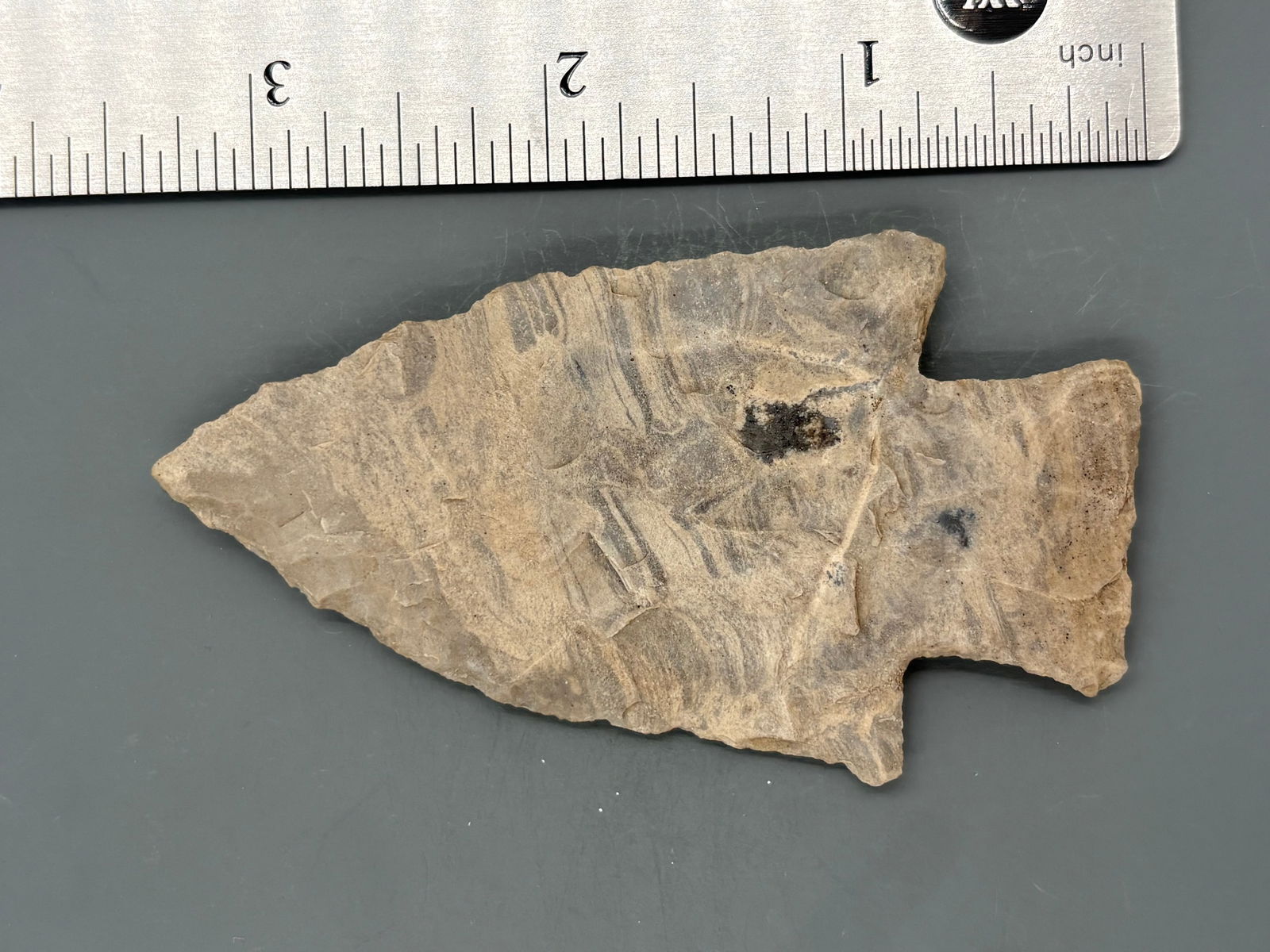 Hardin -3 3/16" - Rogers COA (1 of 5)