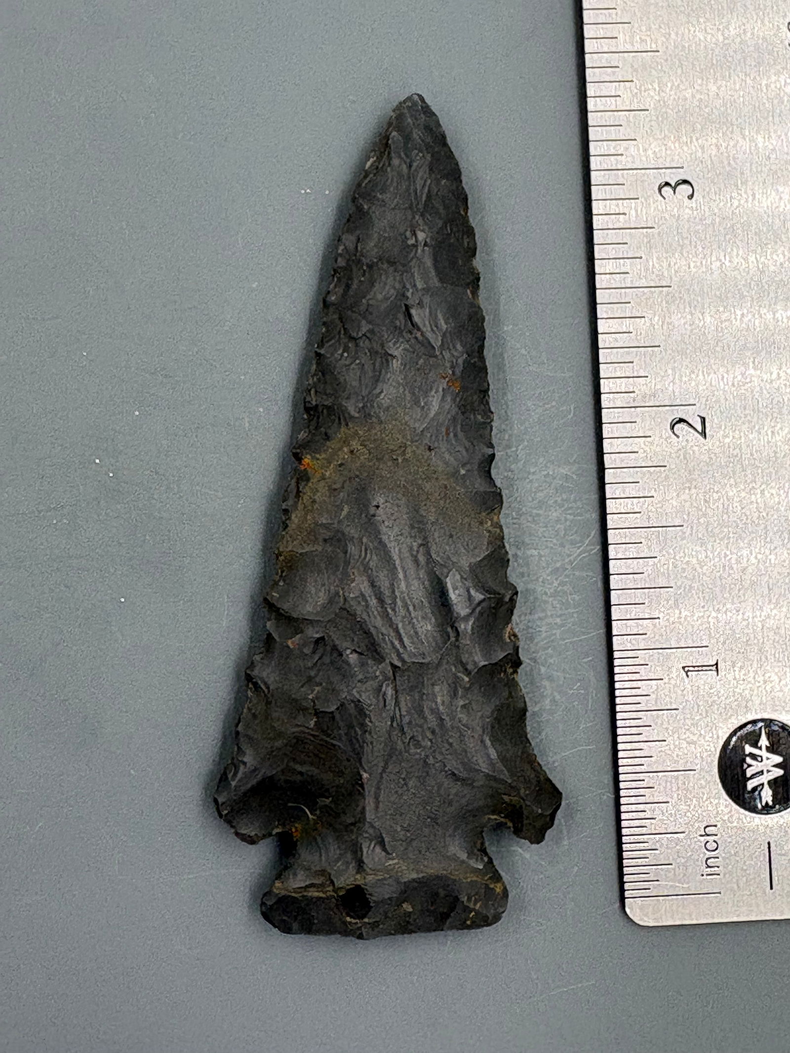 Stillwell (Black Chert, Giles Co. TN) - 3 3/8" - Rogers COA (1 of 5)