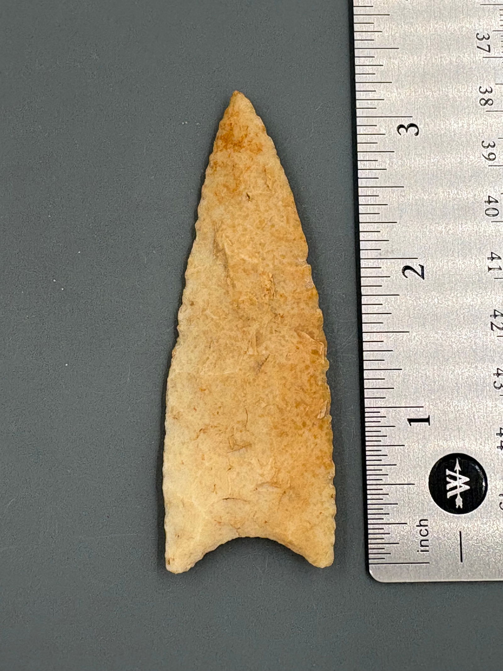 Dalton Point (1 of 4)